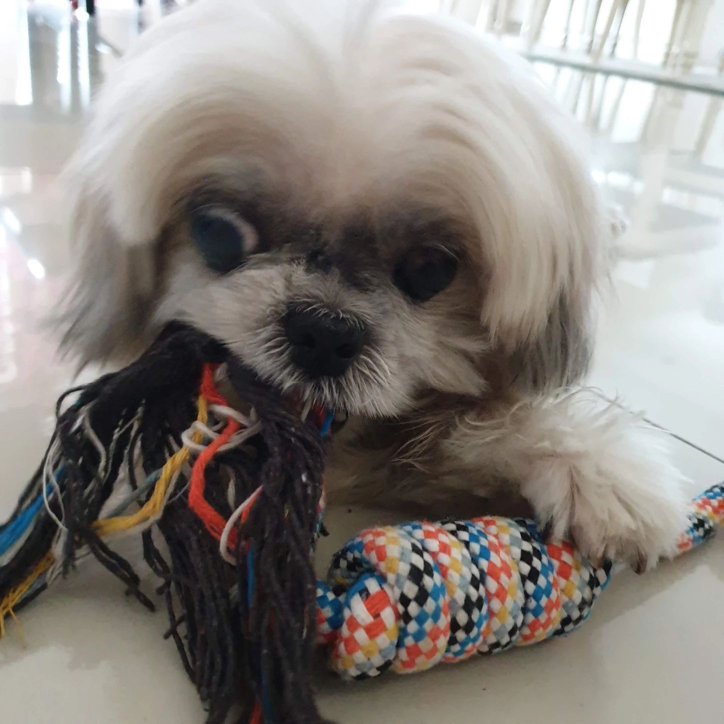 image-7