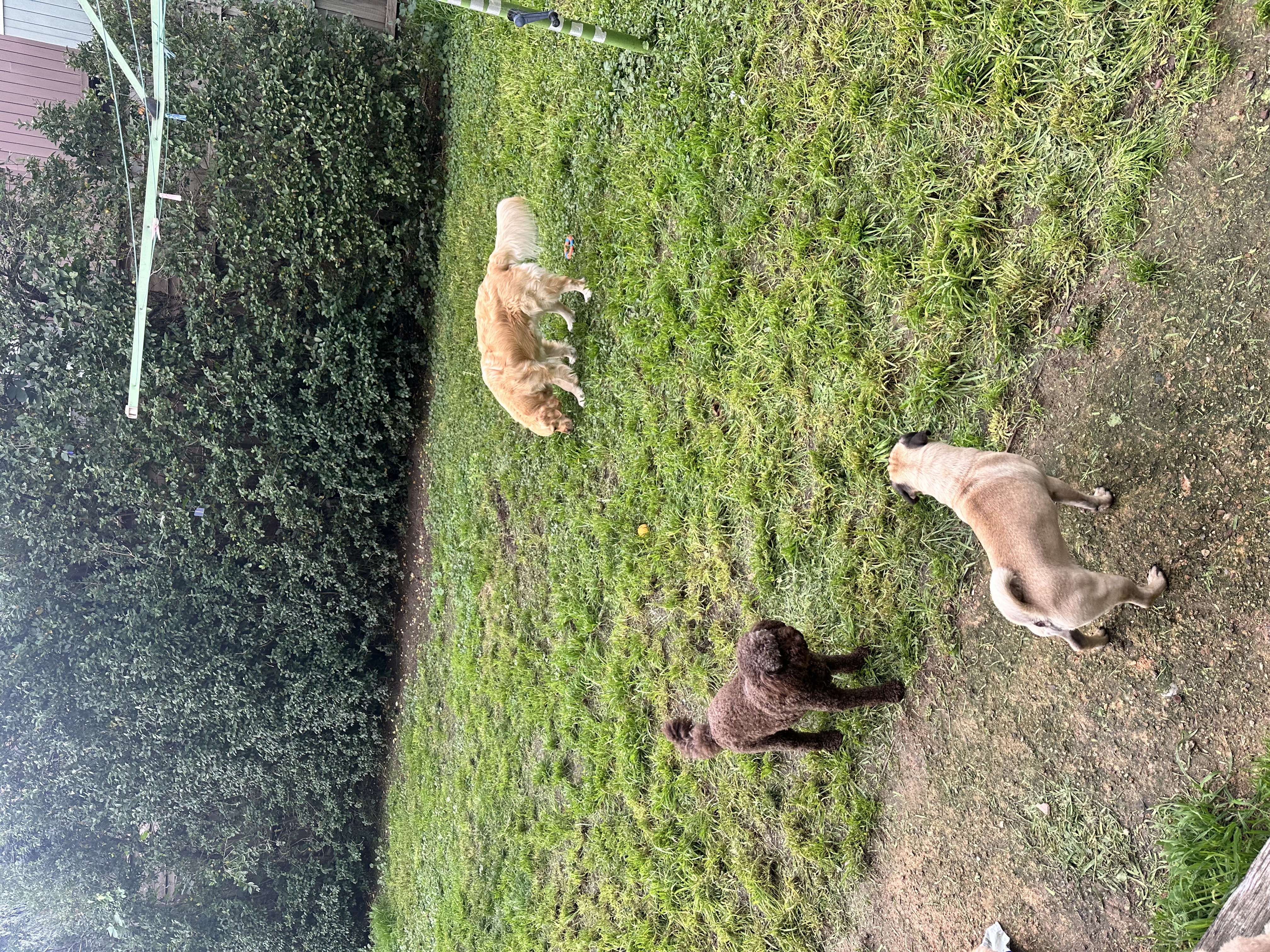image-27