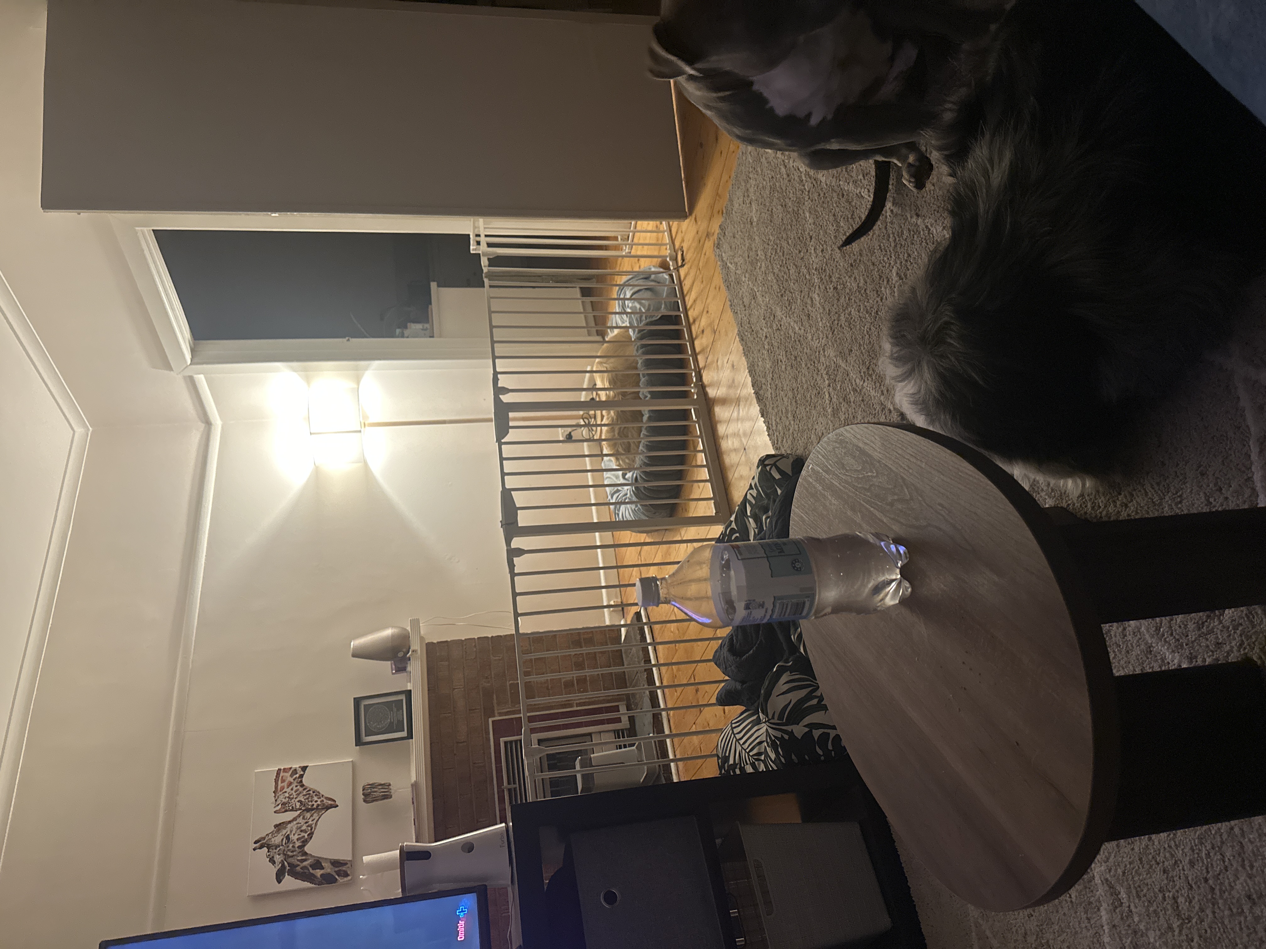 image-29