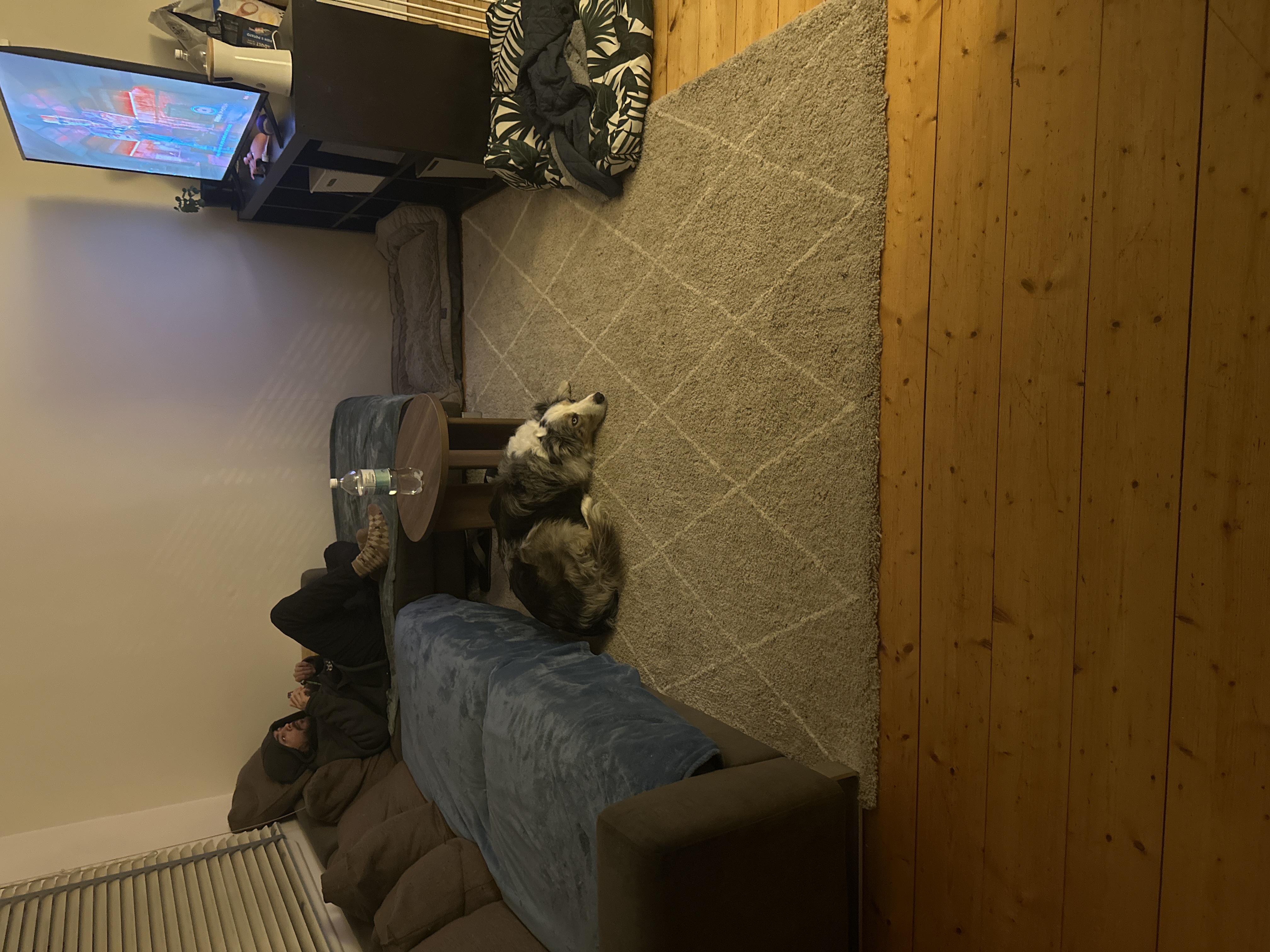 image-28