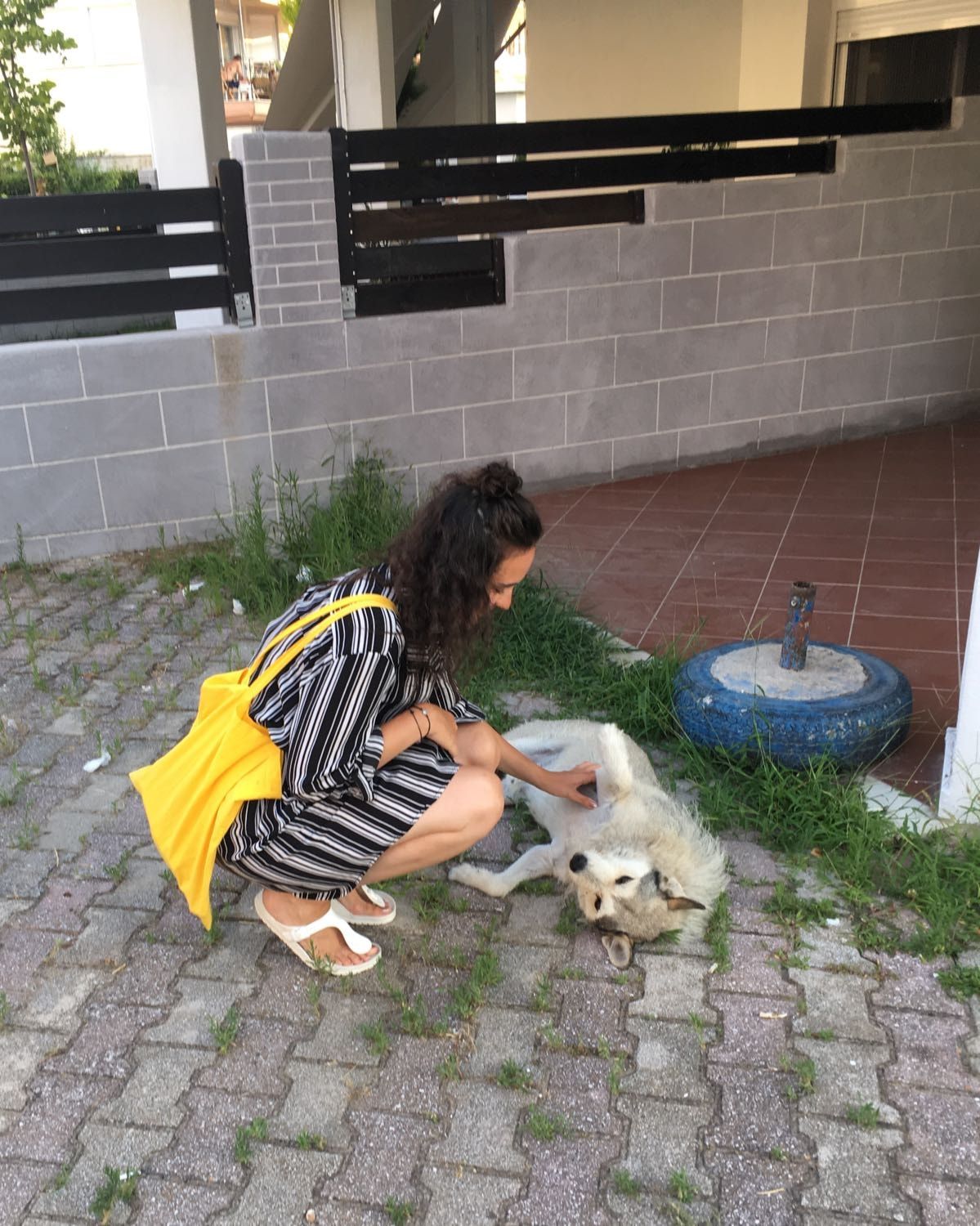image-5