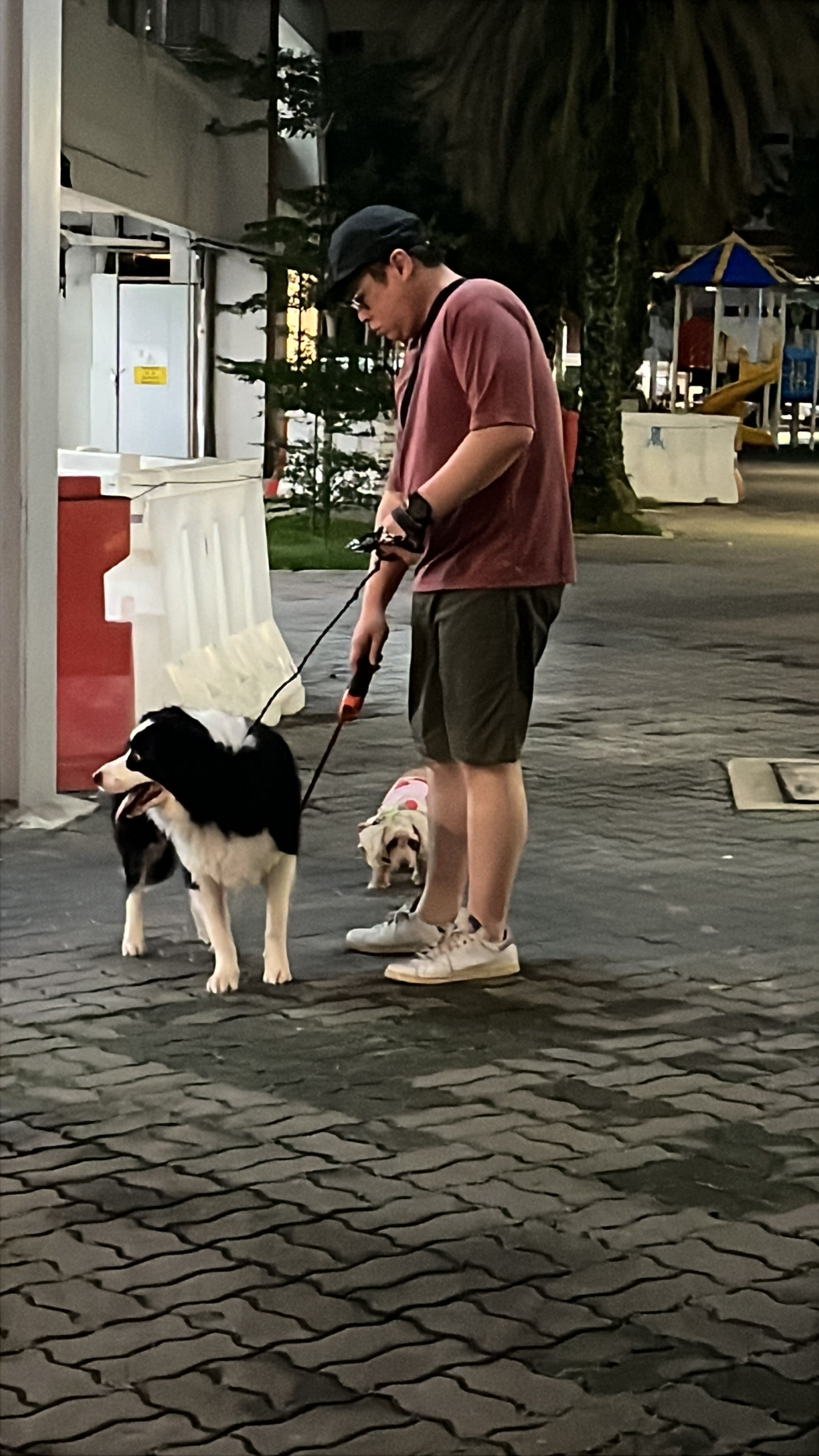 image-10