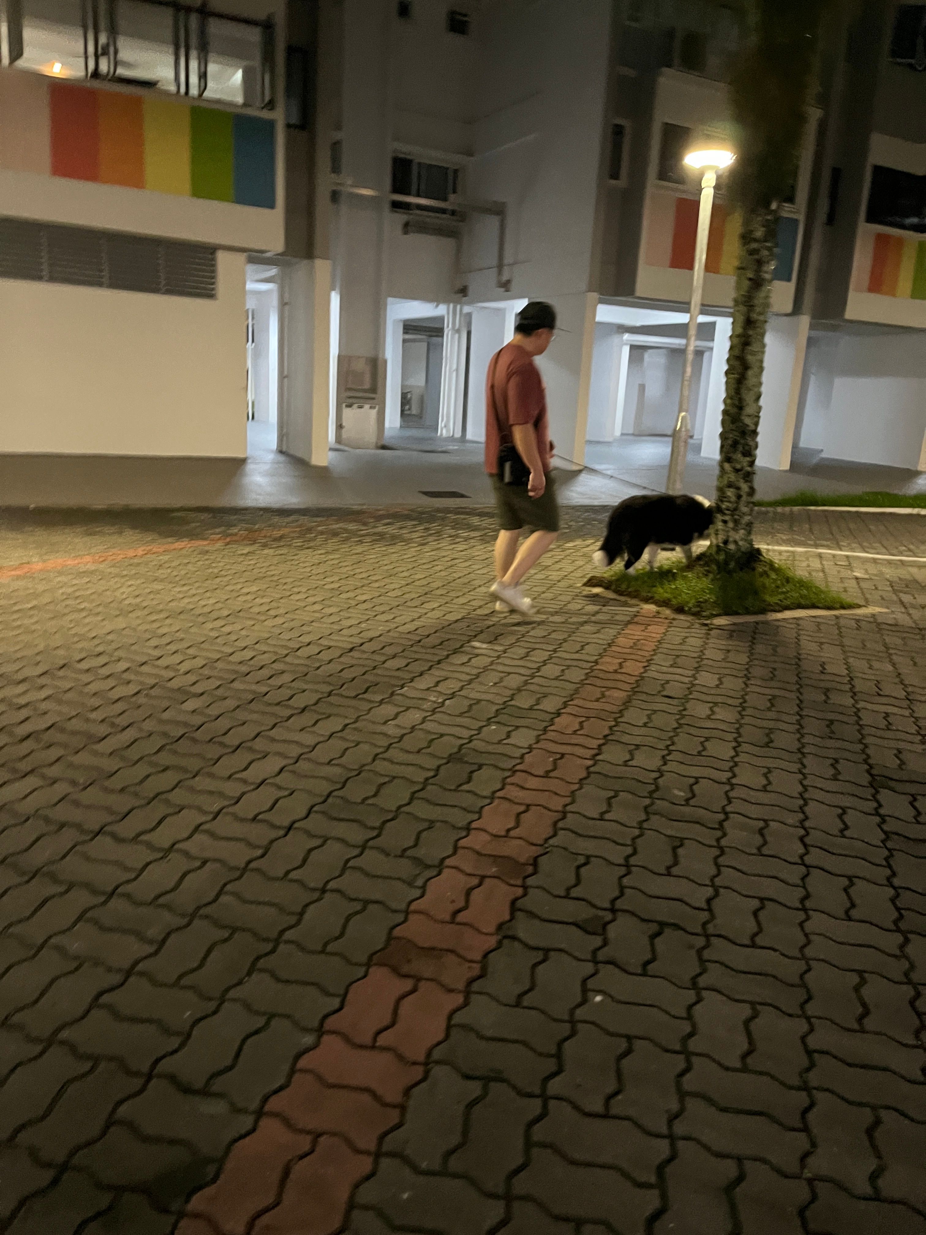 image-12