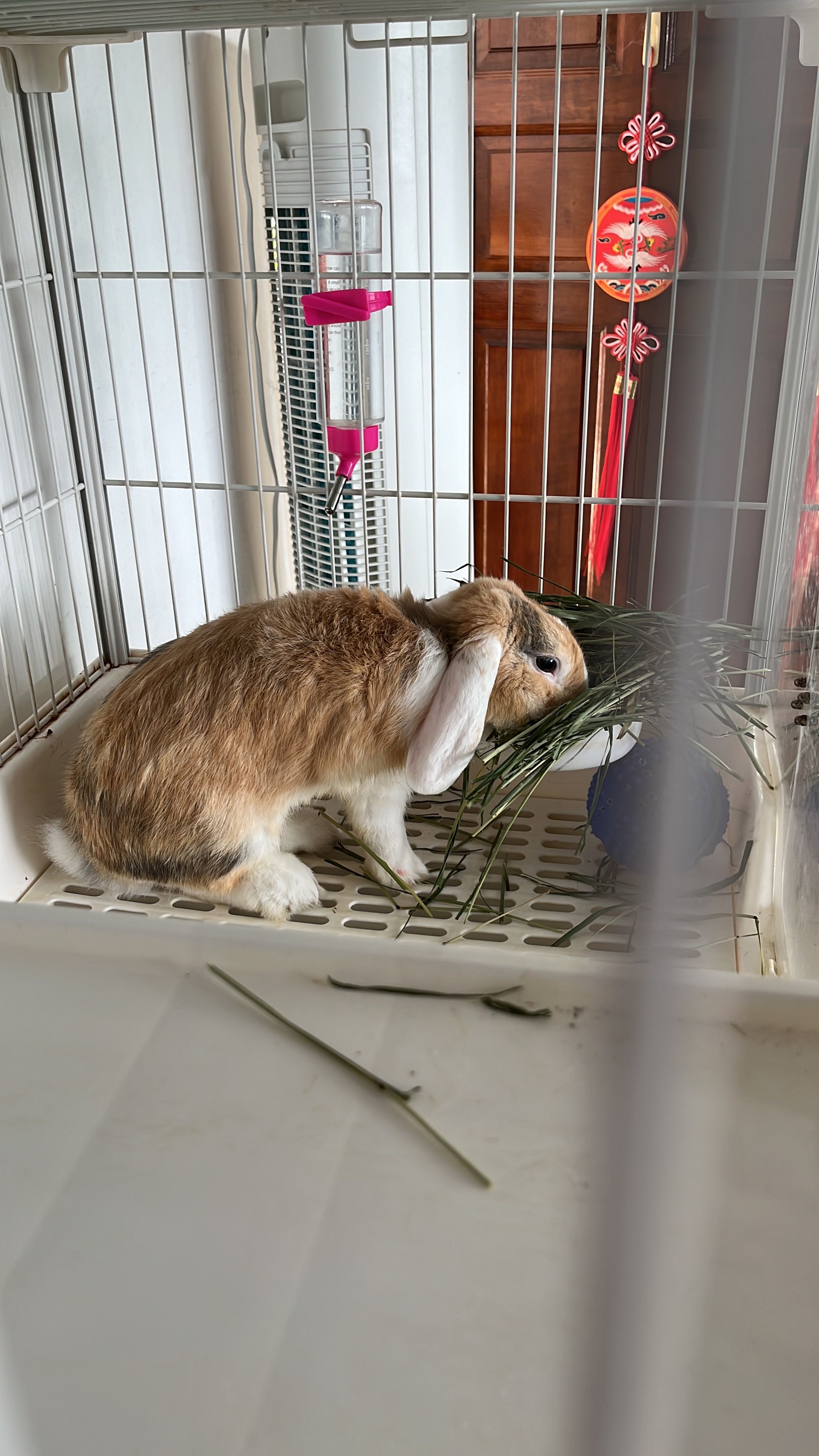 image-14