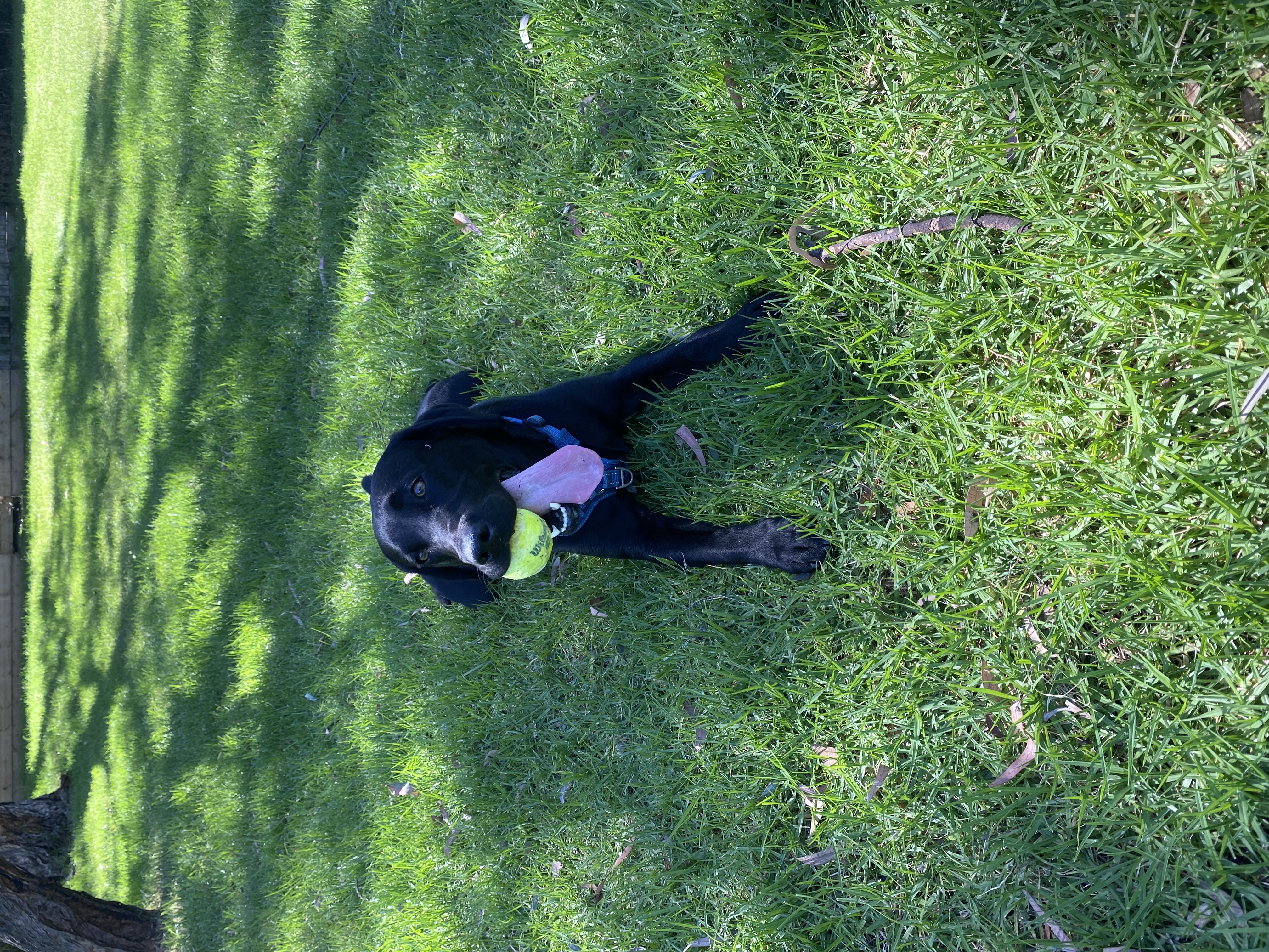 image-2