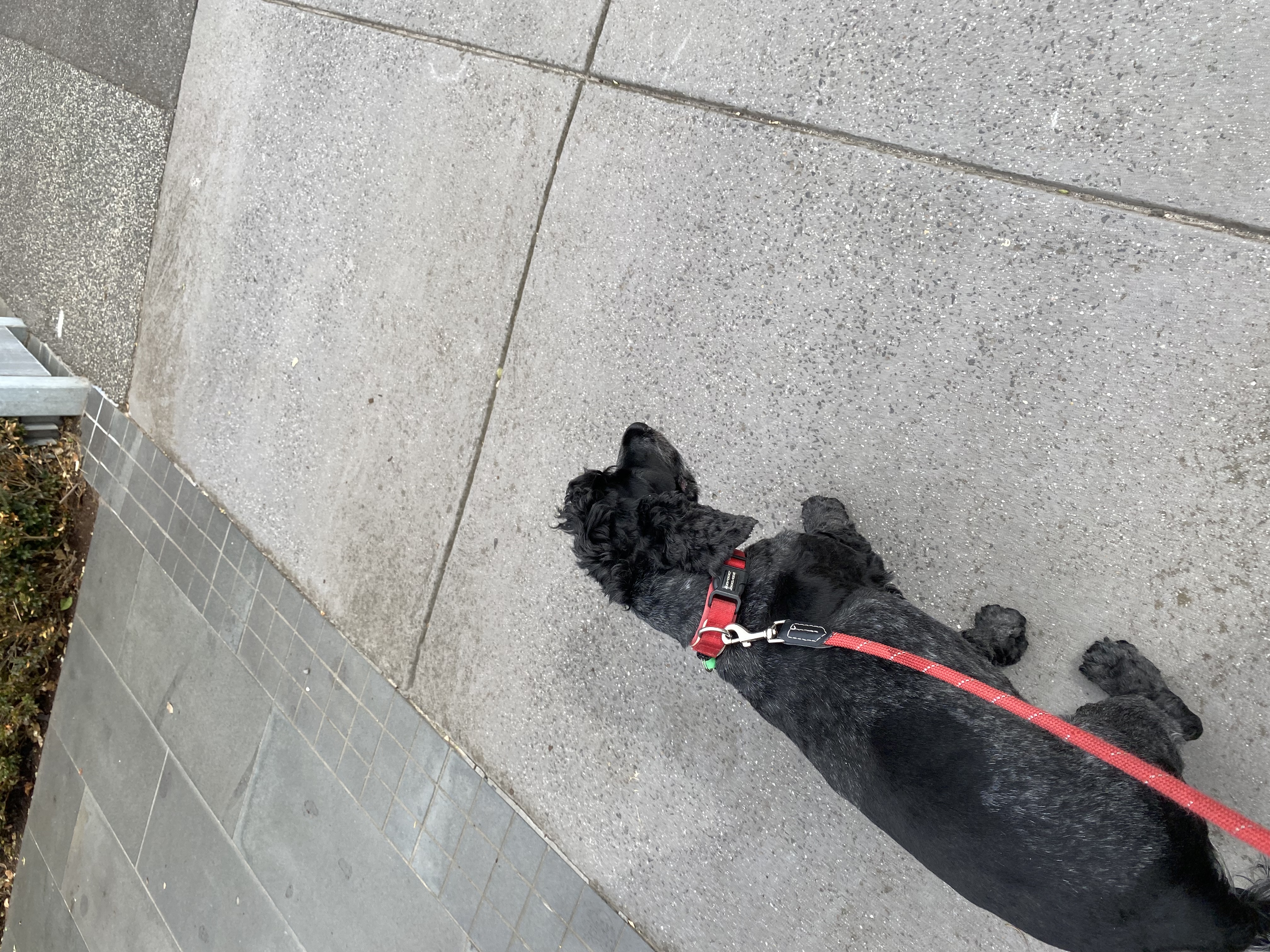 image-10