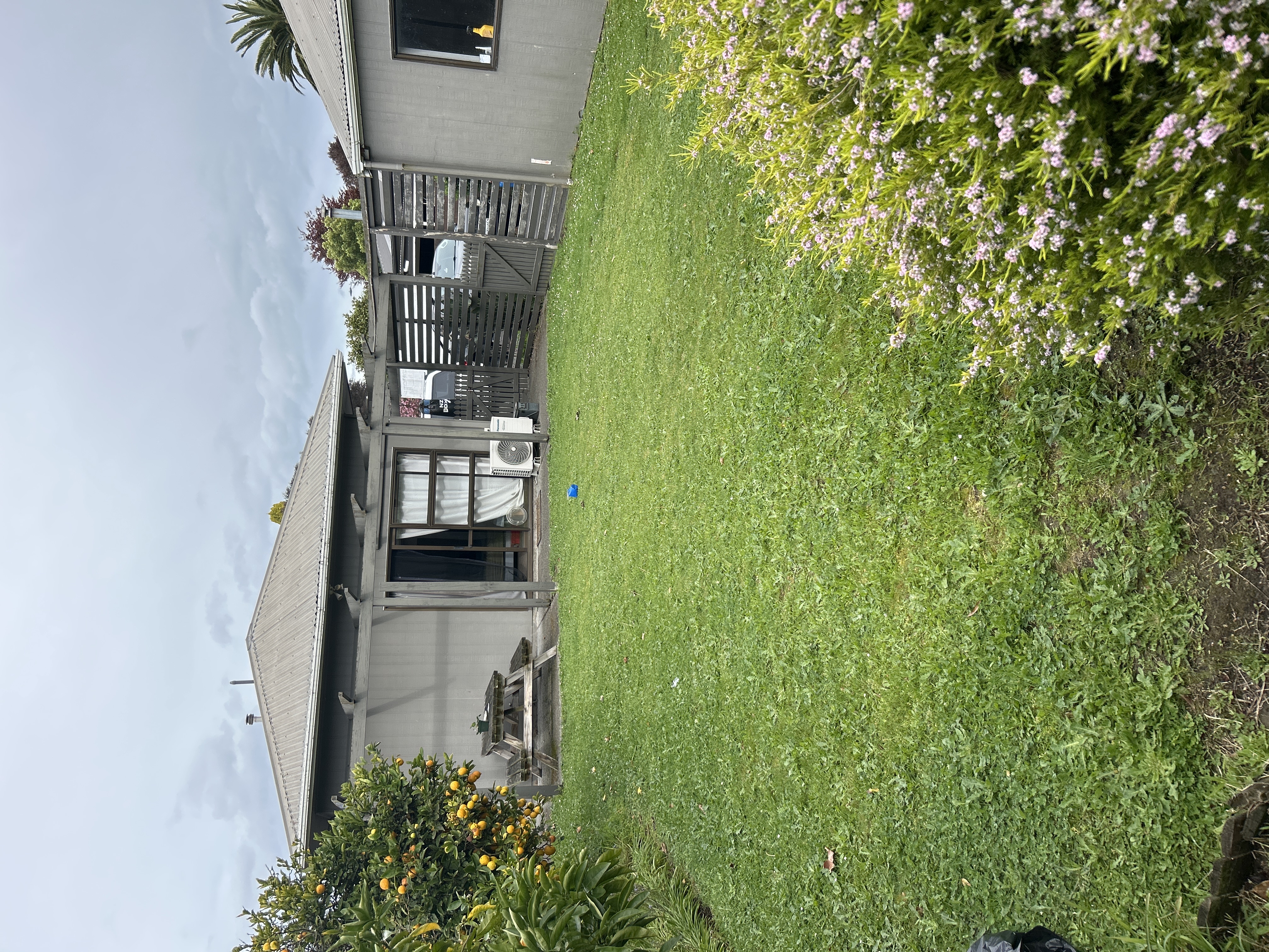 image-19