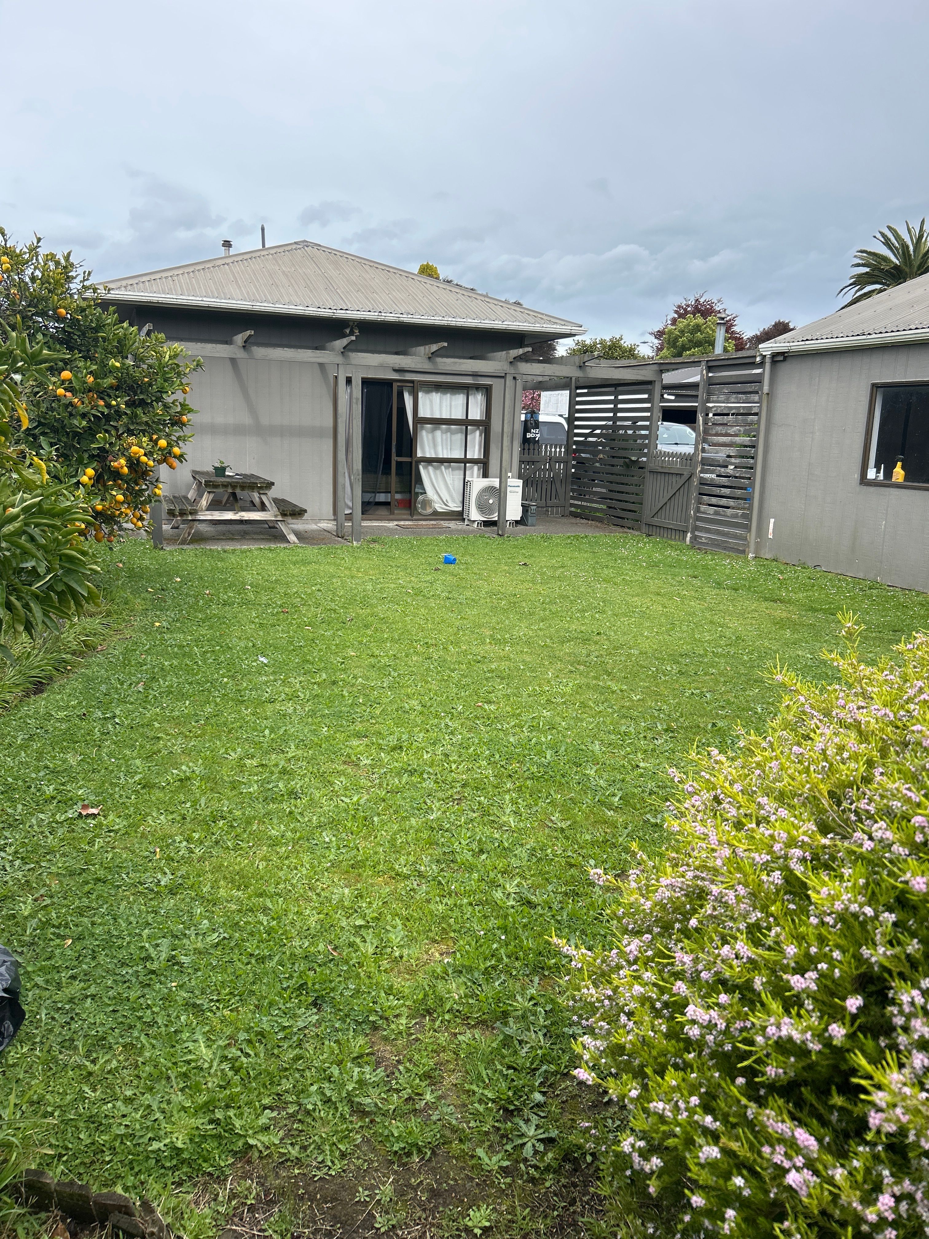 image-19