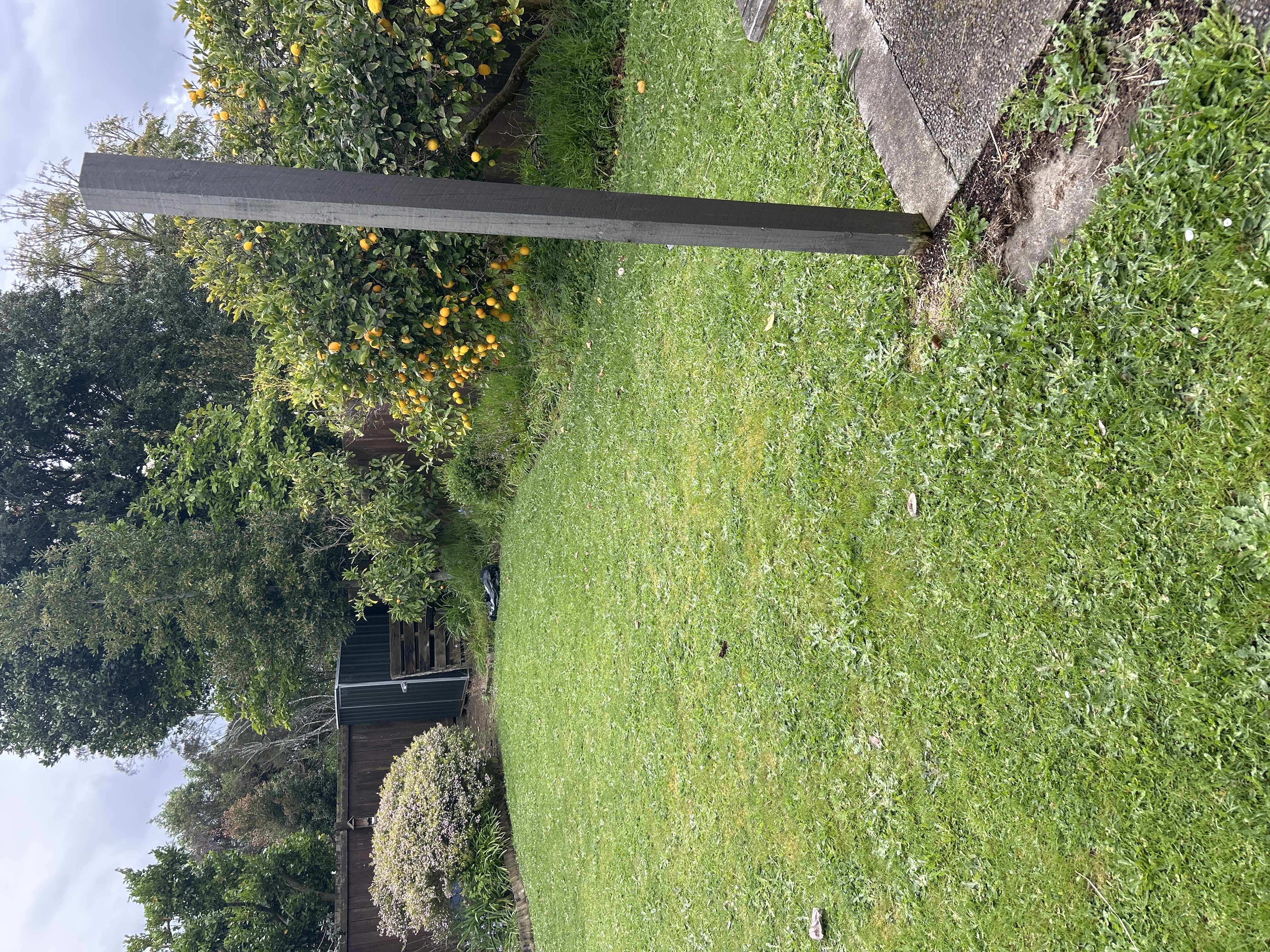 image-20