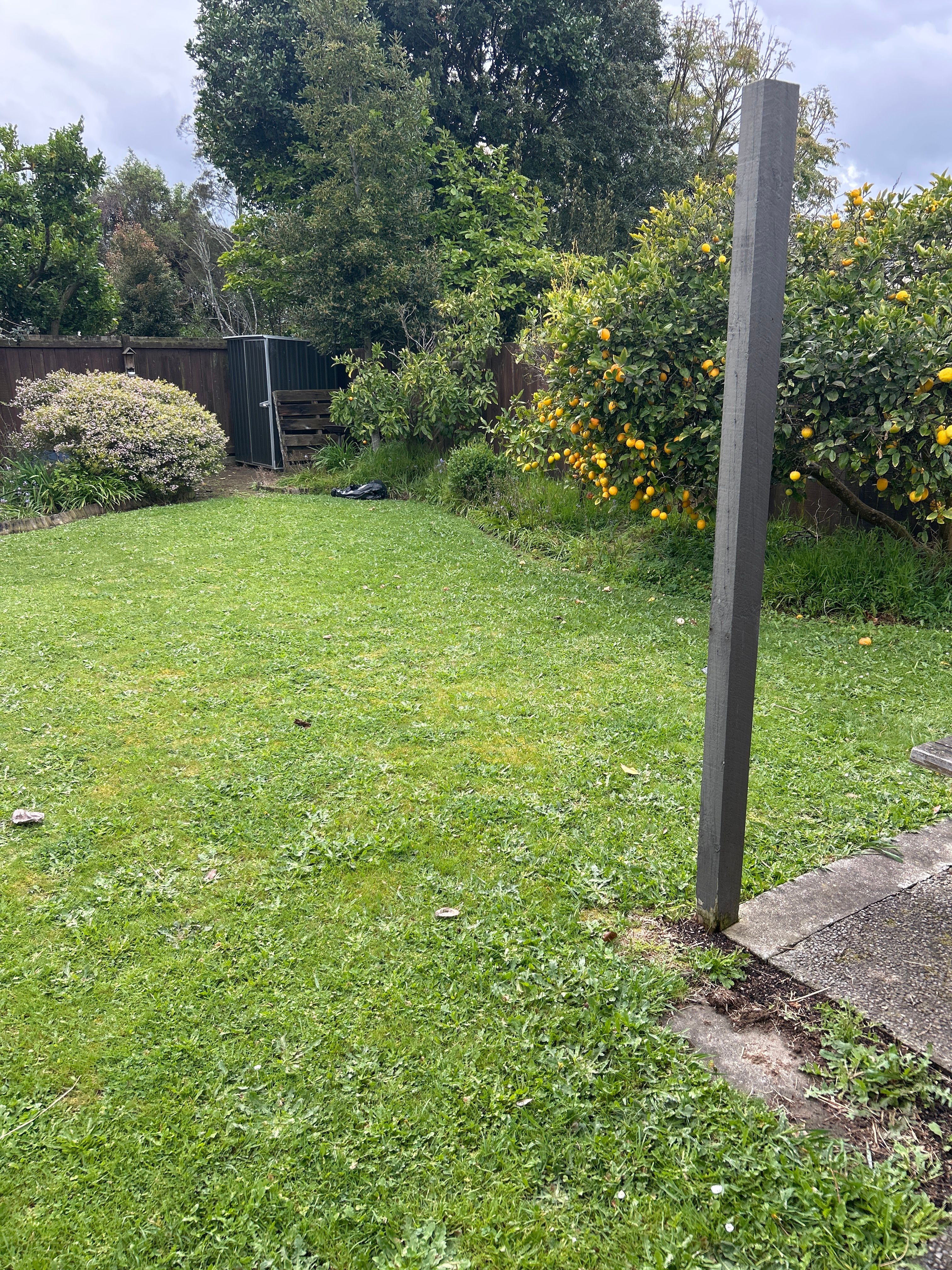 image-20