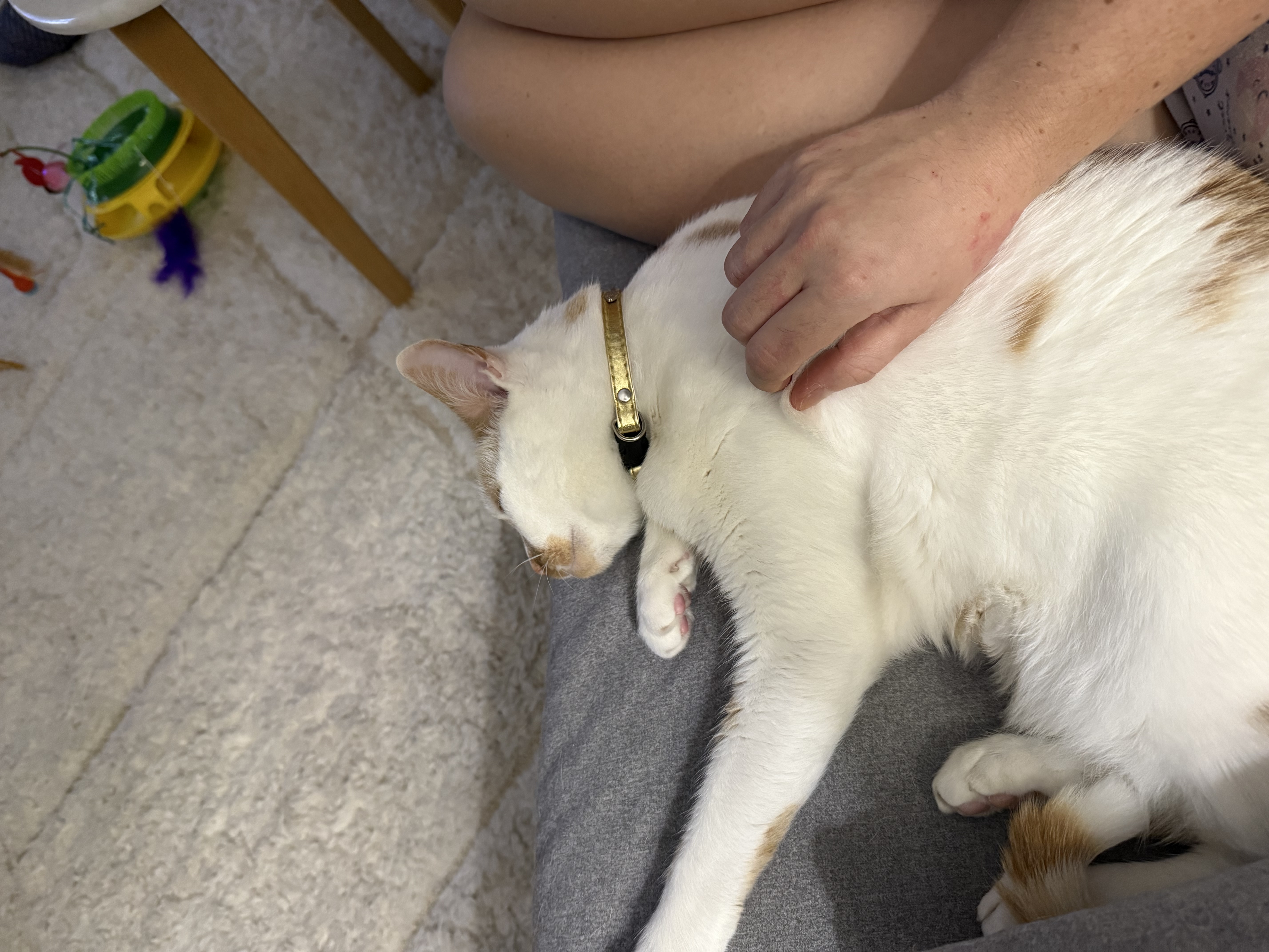 image-8