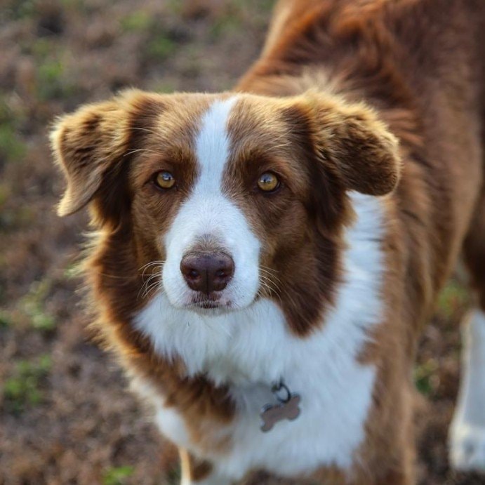 Skye
