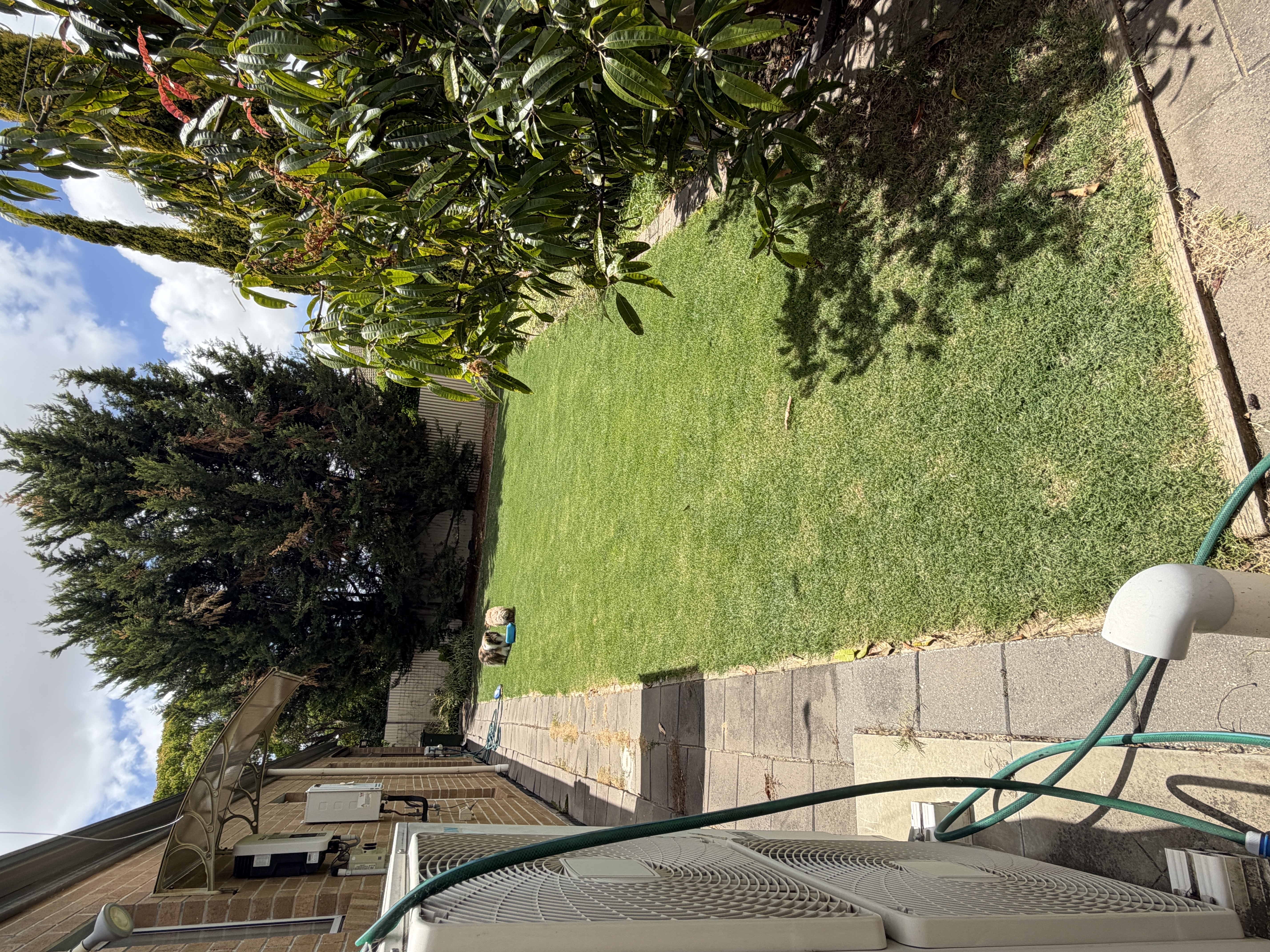 image-18