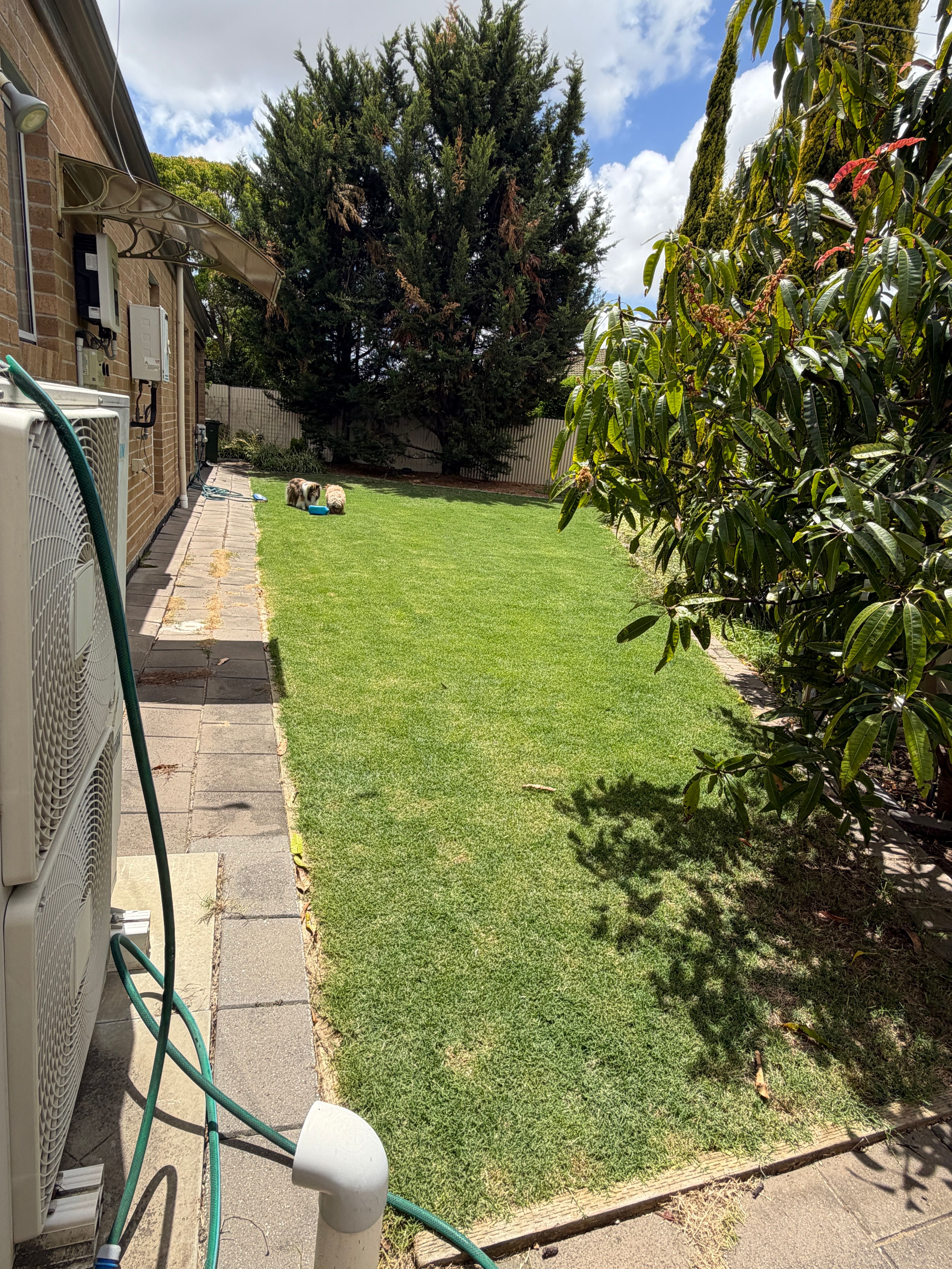 image-18