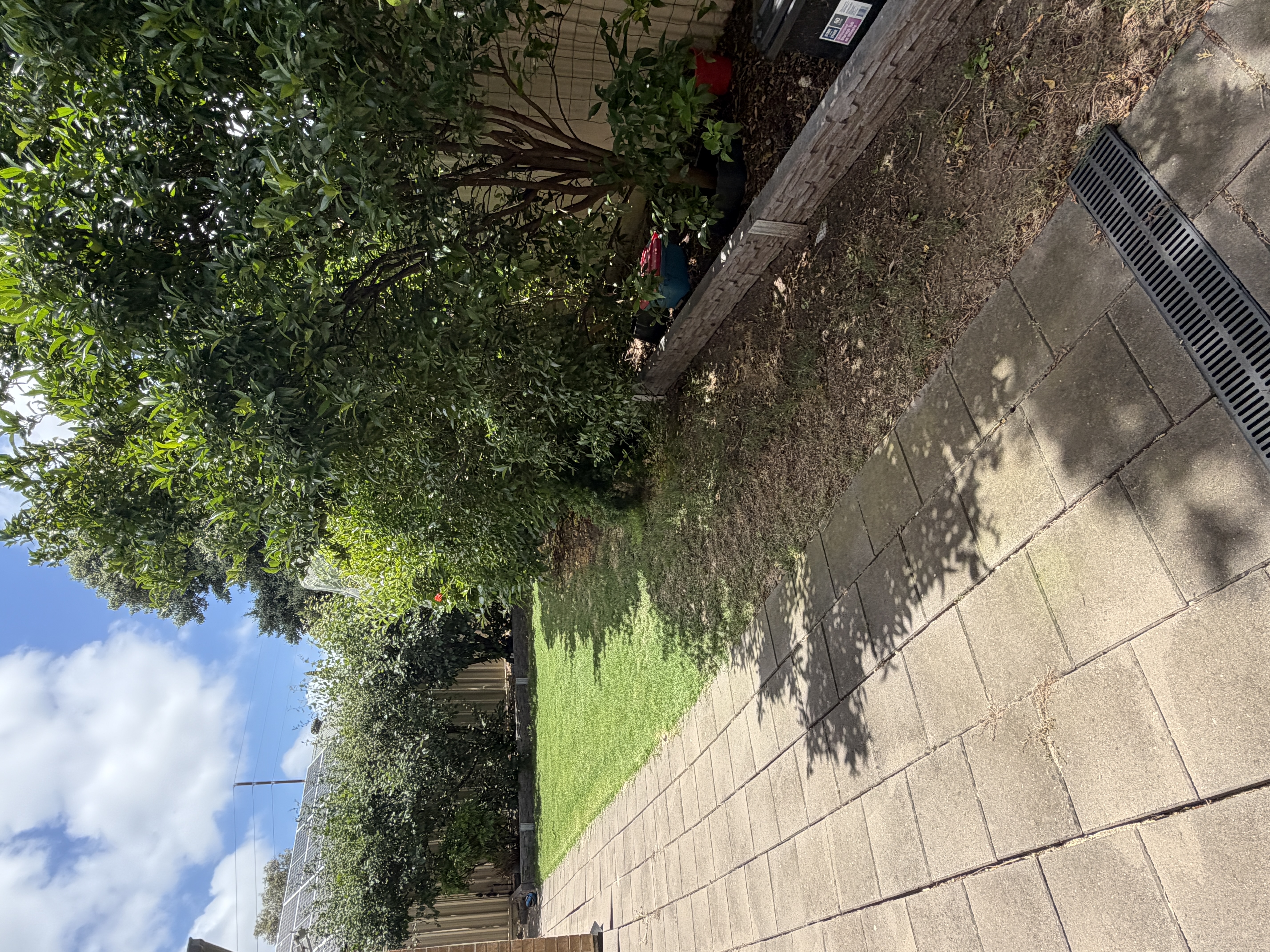 image-17