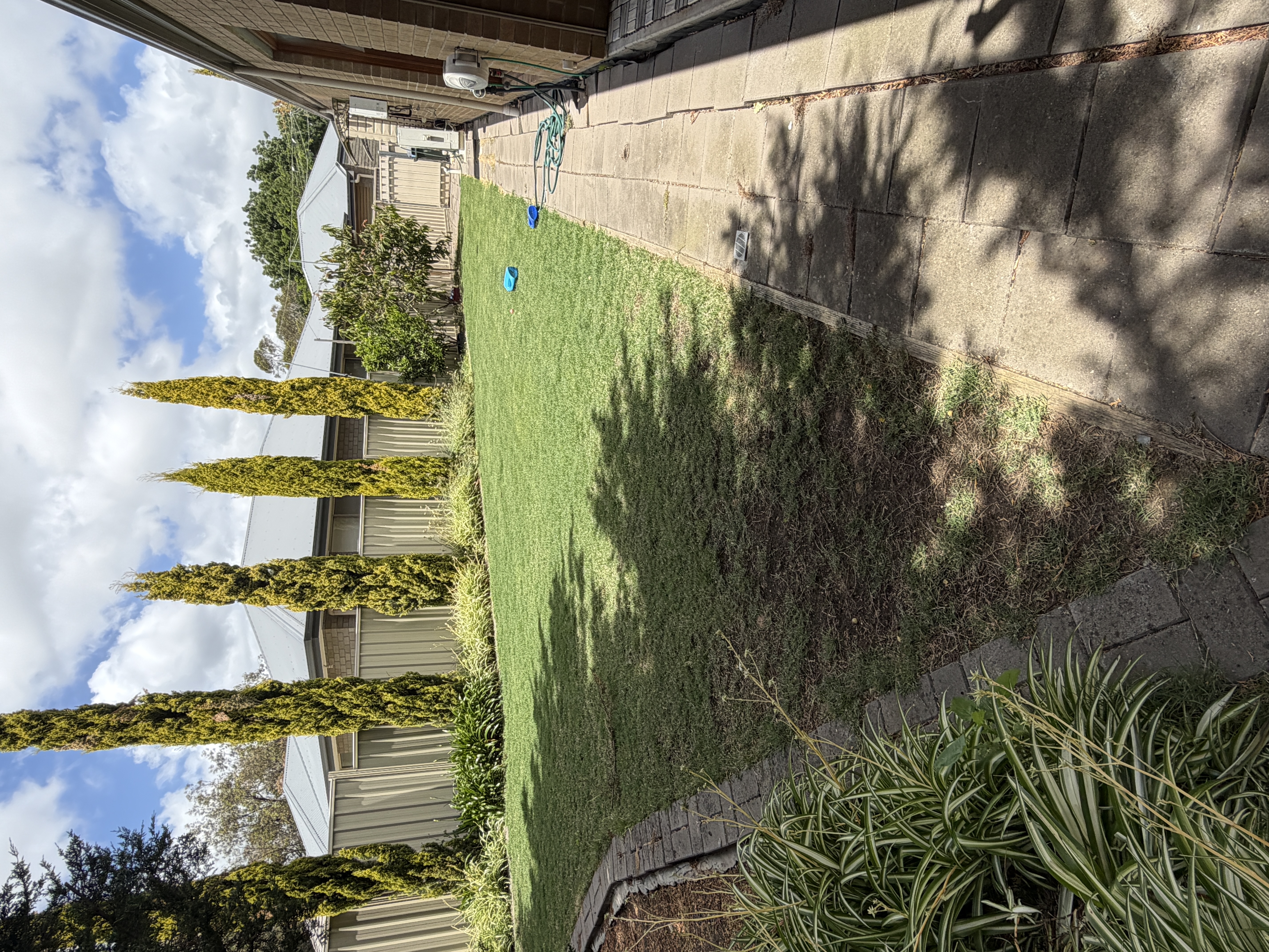 image-15