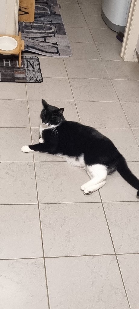 Tux