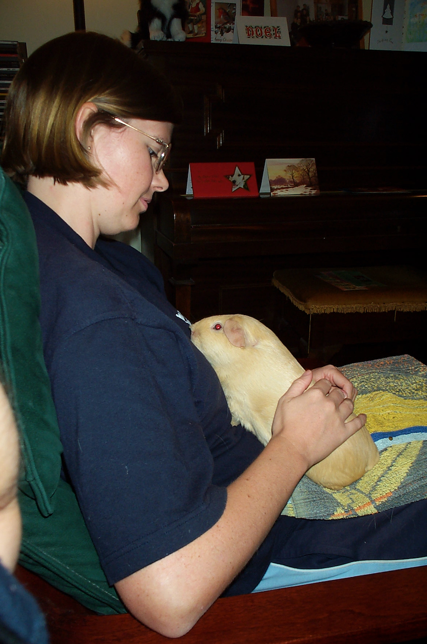 image-8