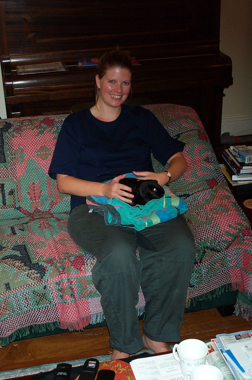 image-10