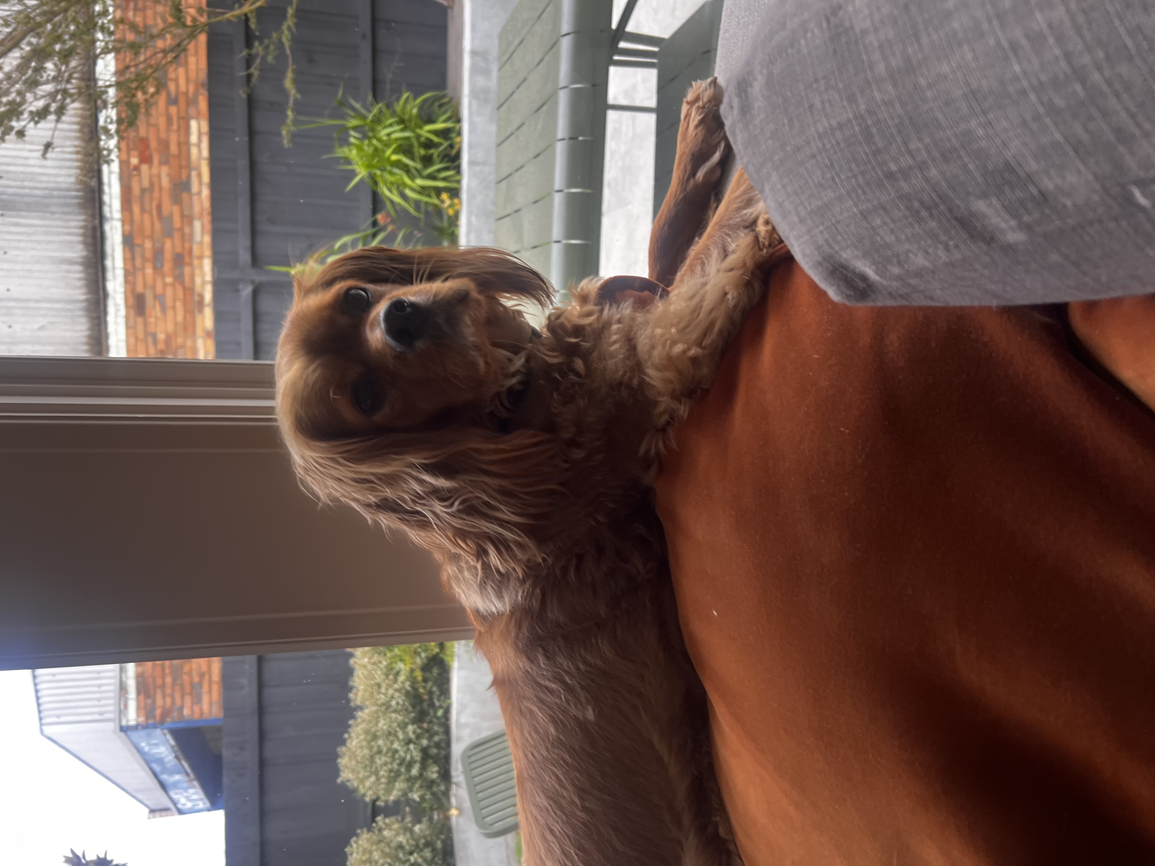 image-6
