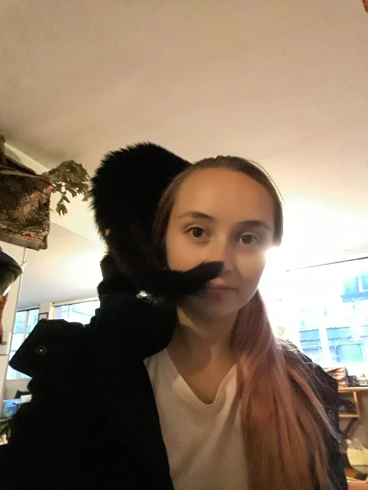 image-6