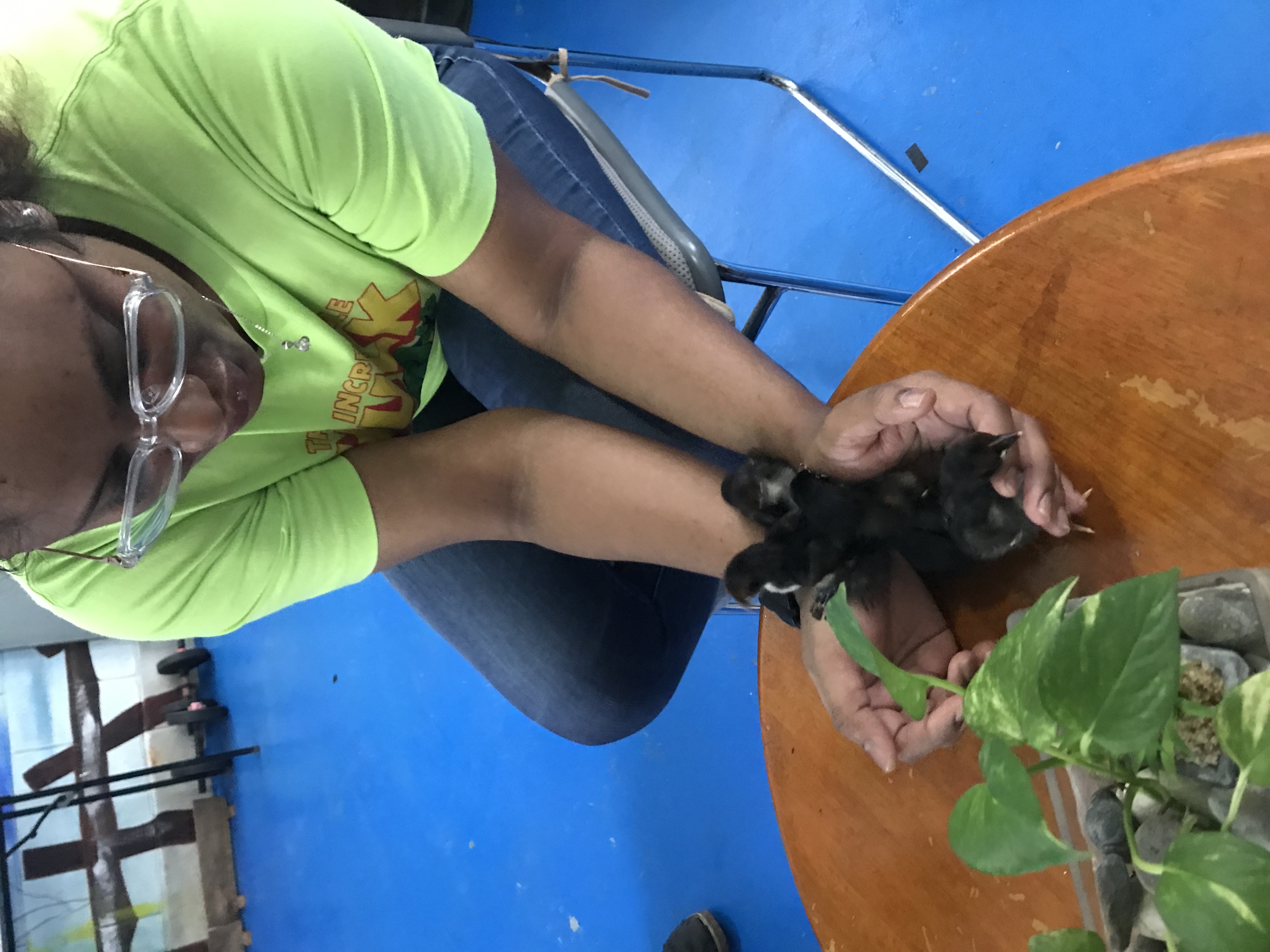 image-8