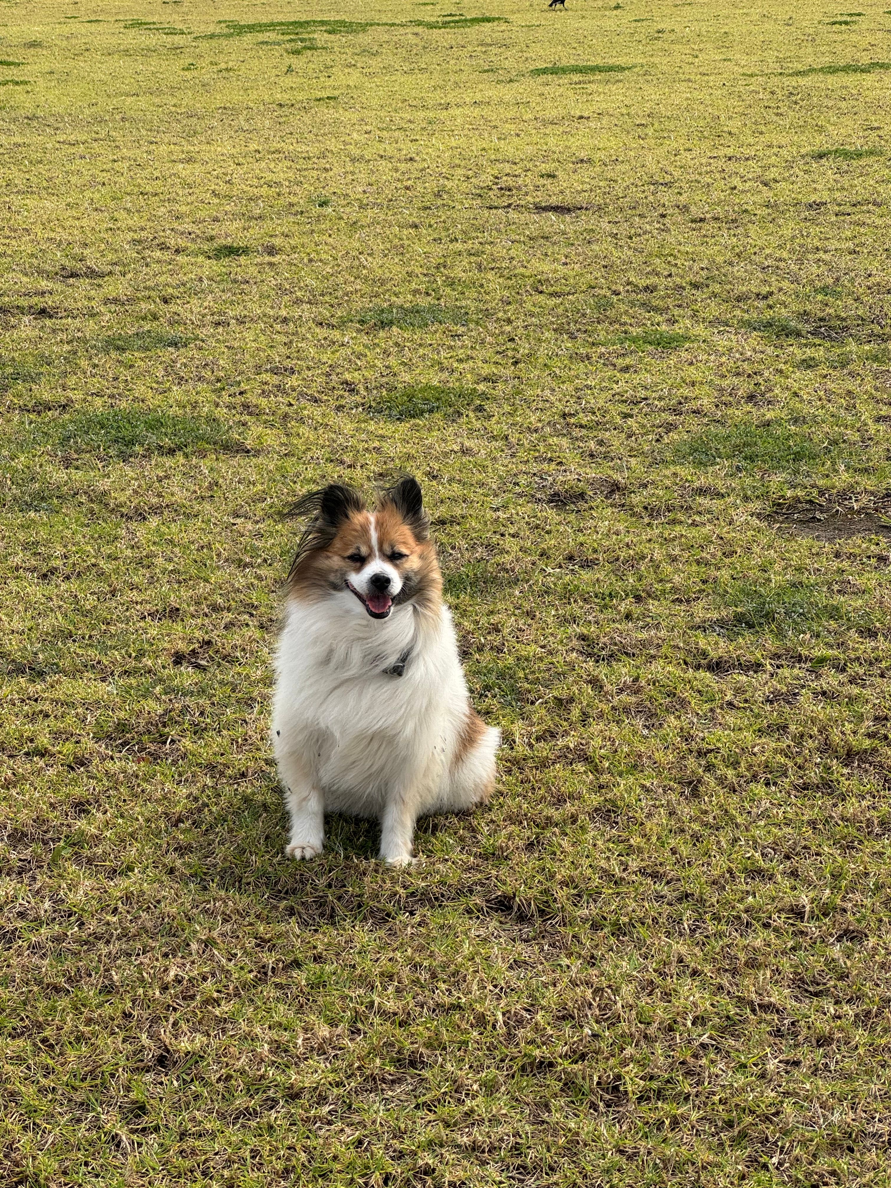 image-5