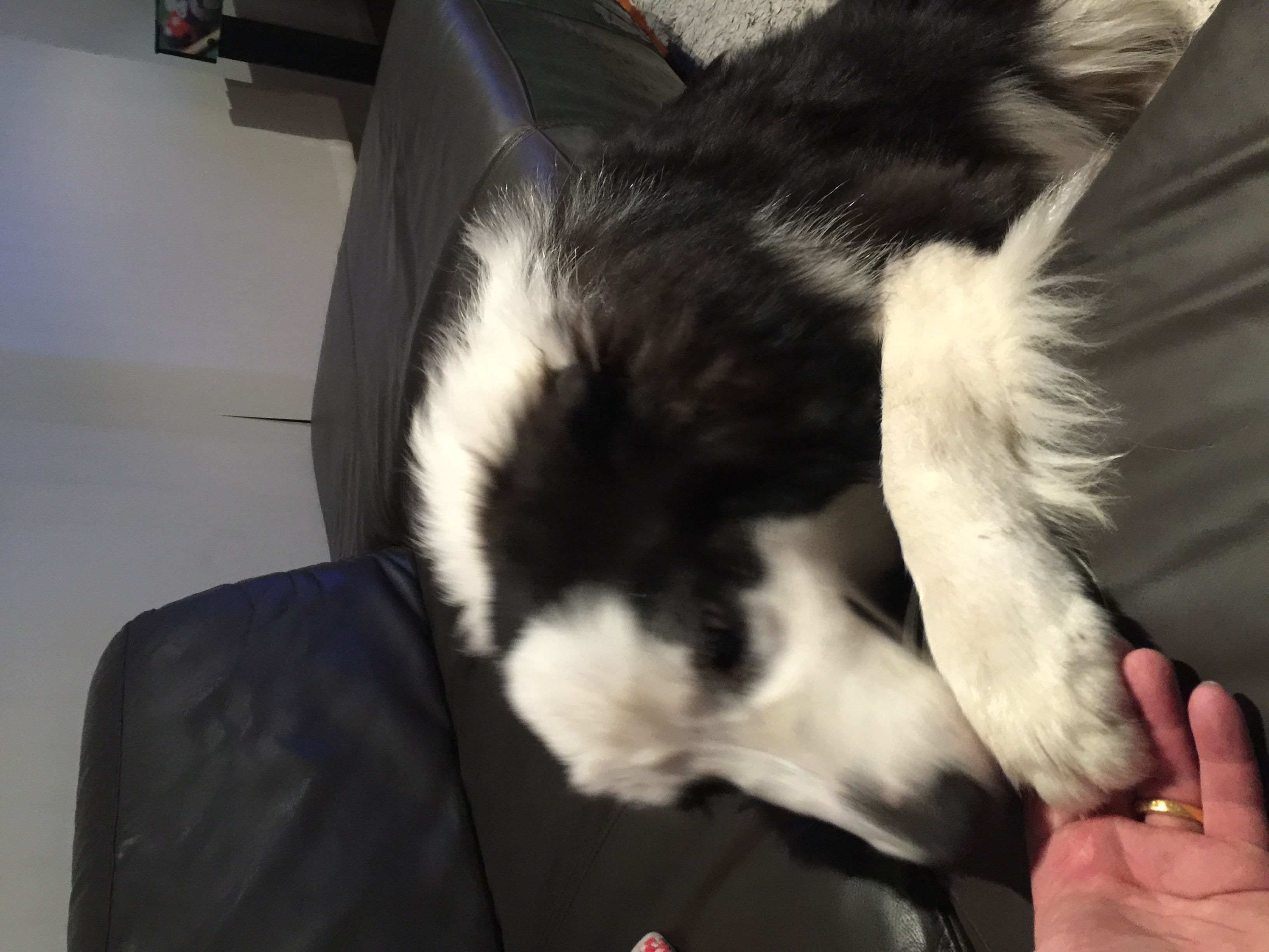image-6