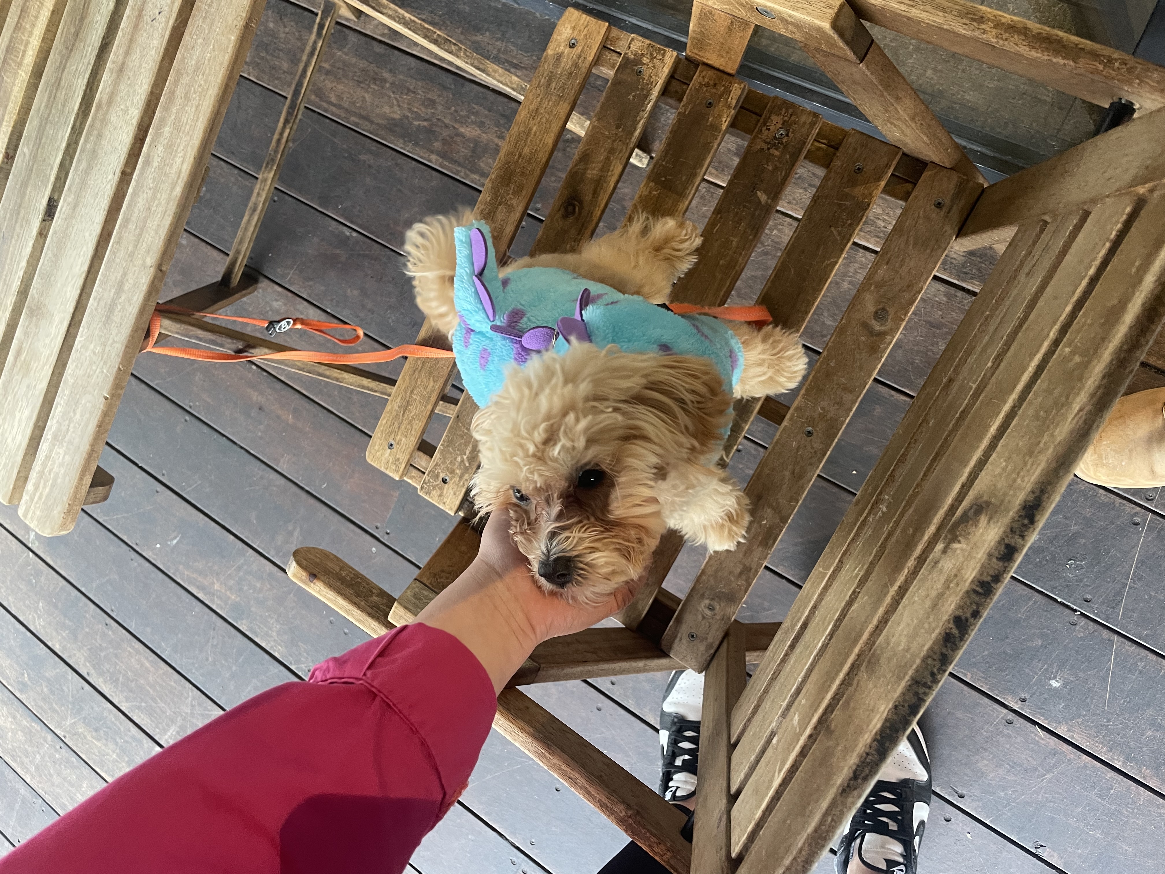 image-8