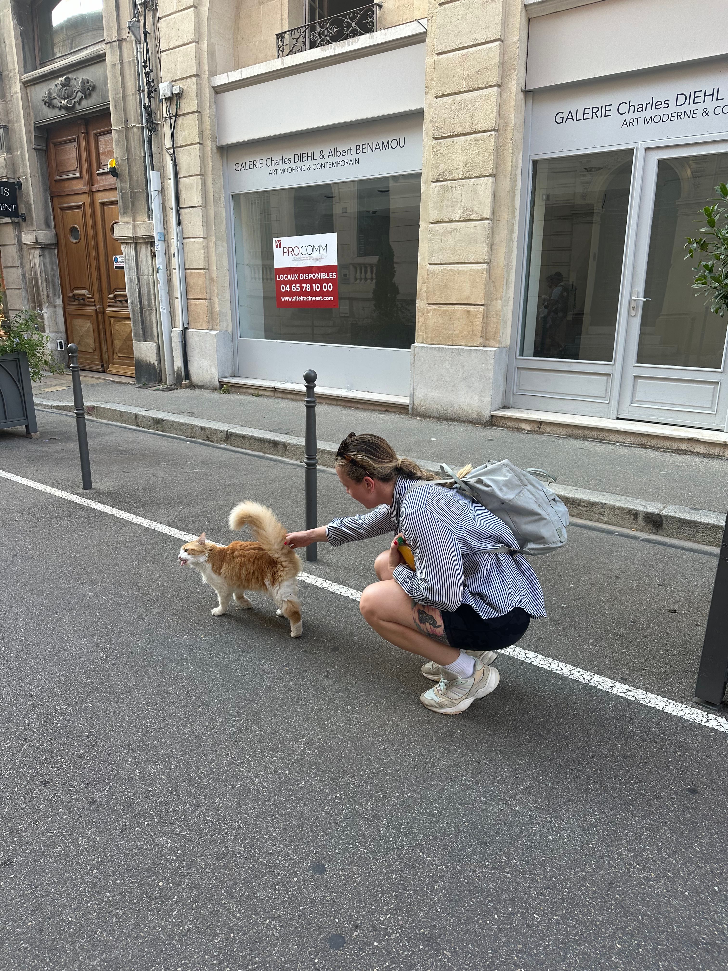 image-29