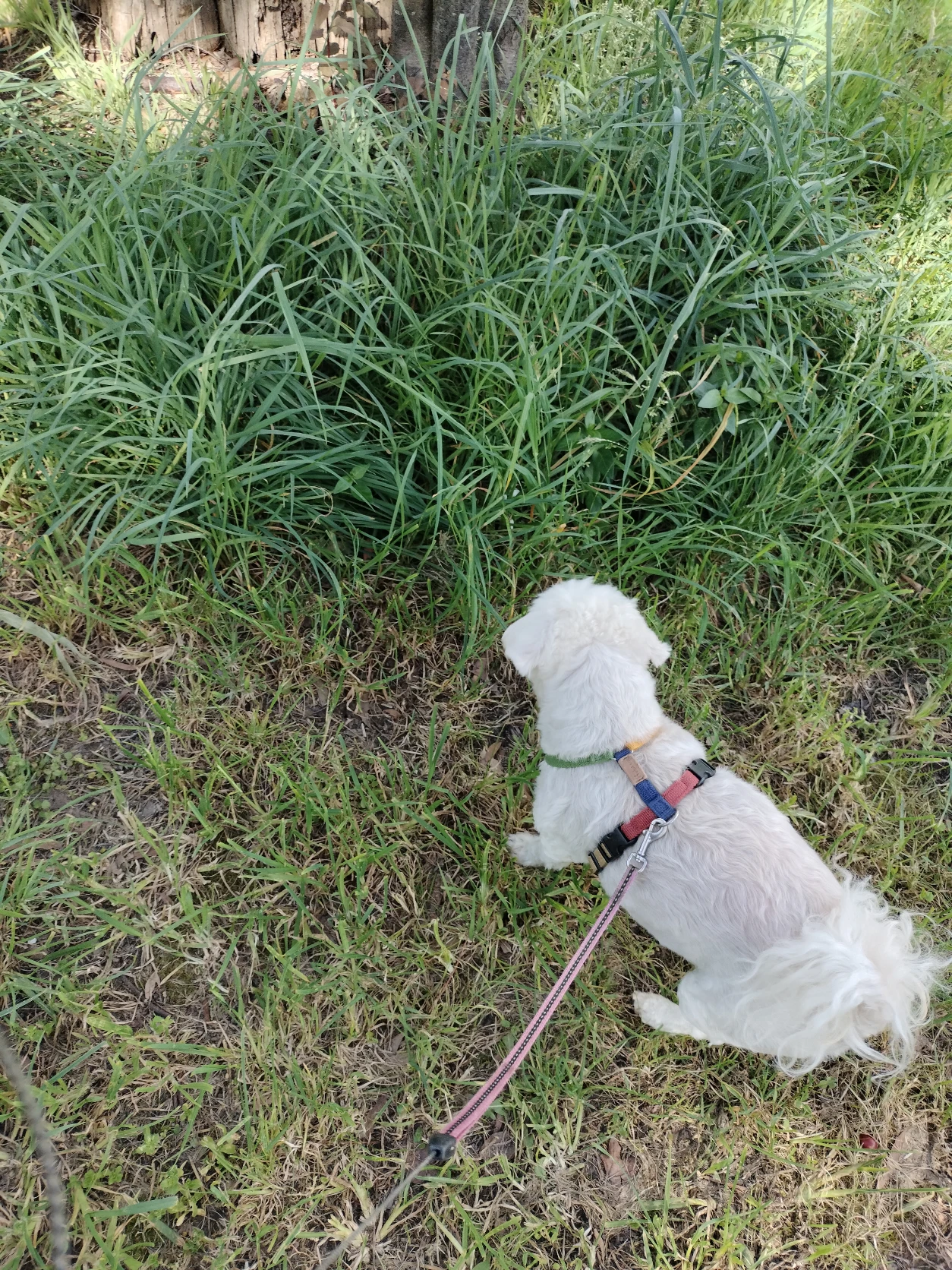 image-14