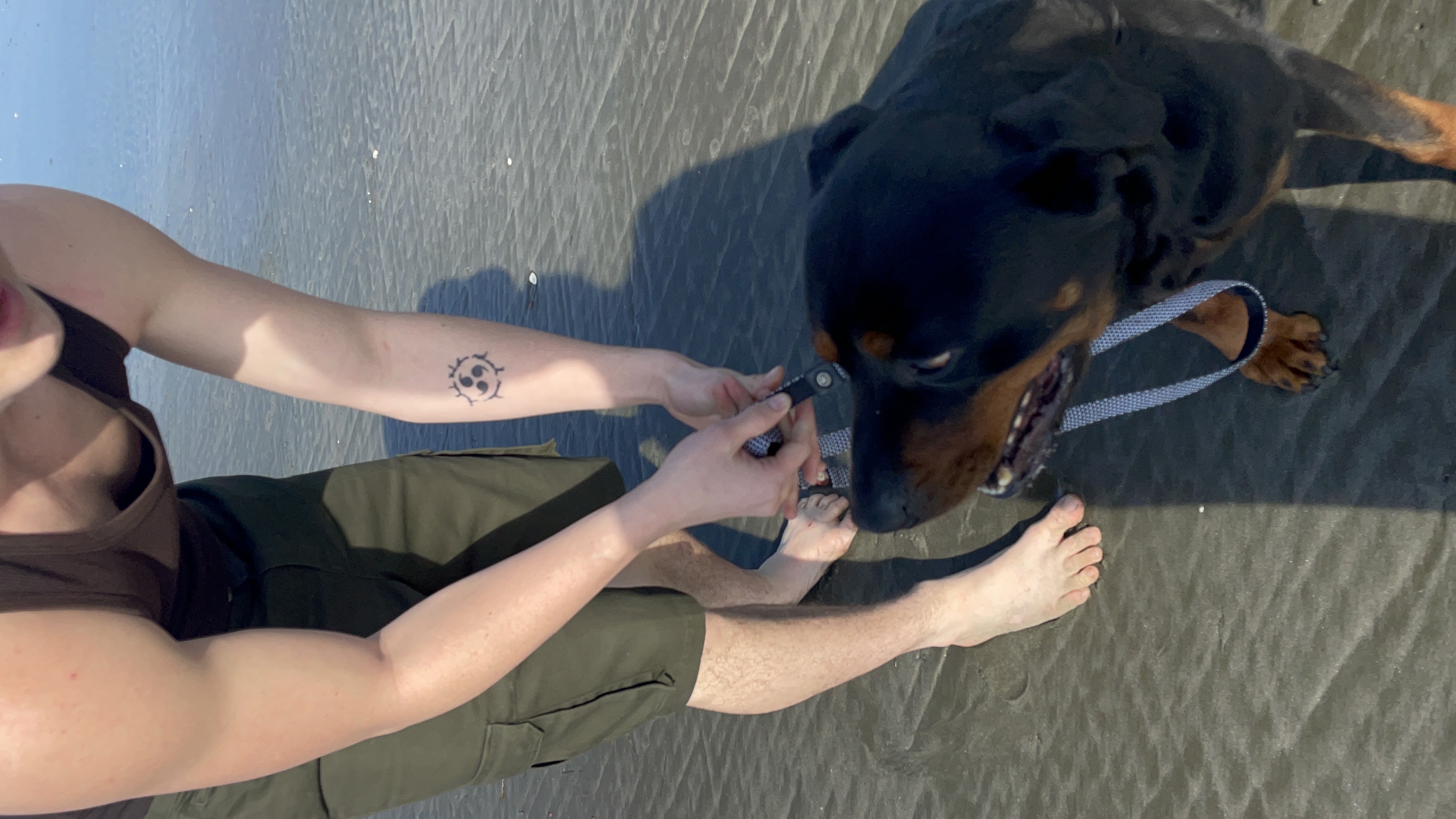 image-4