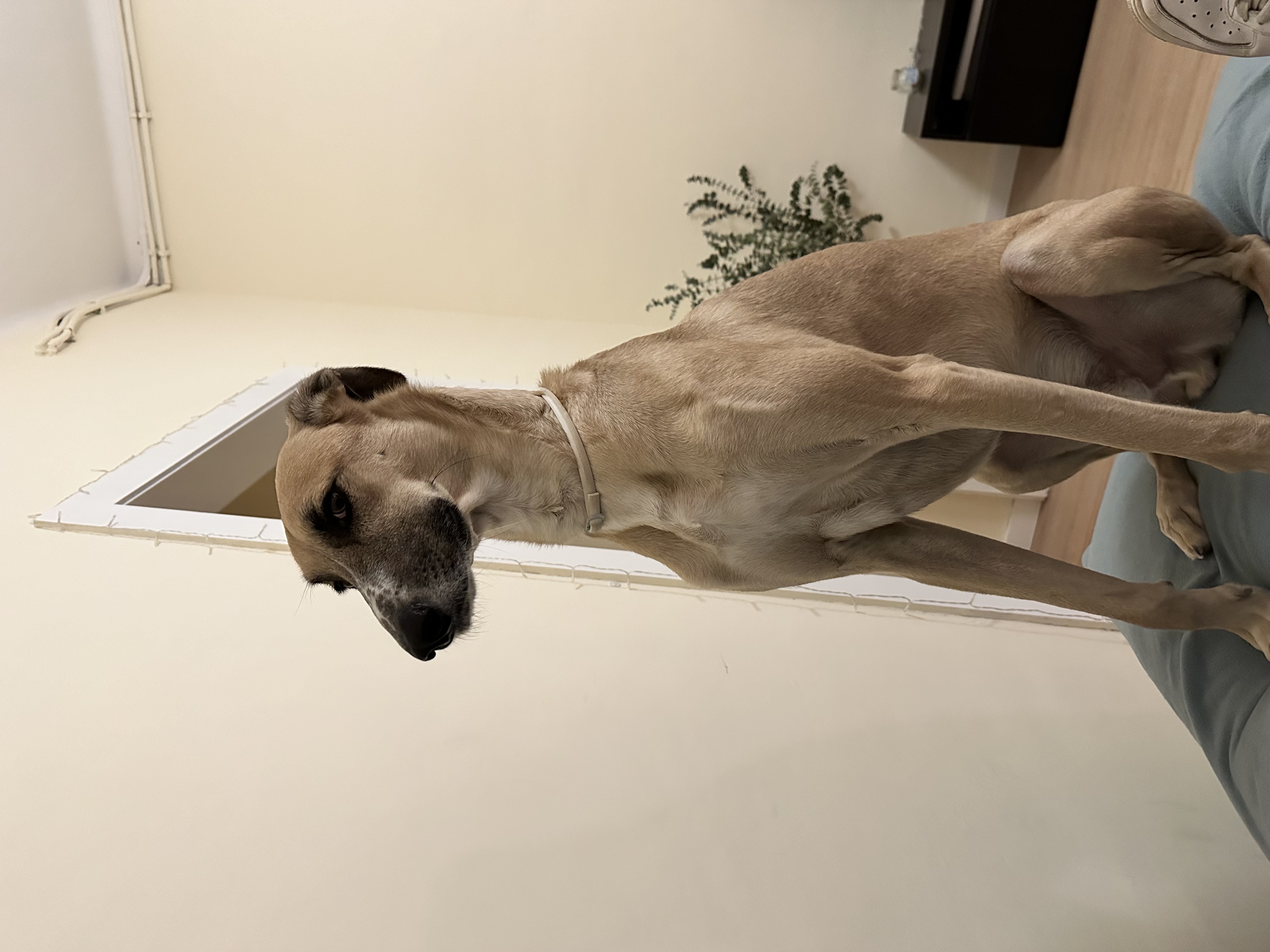 image-6