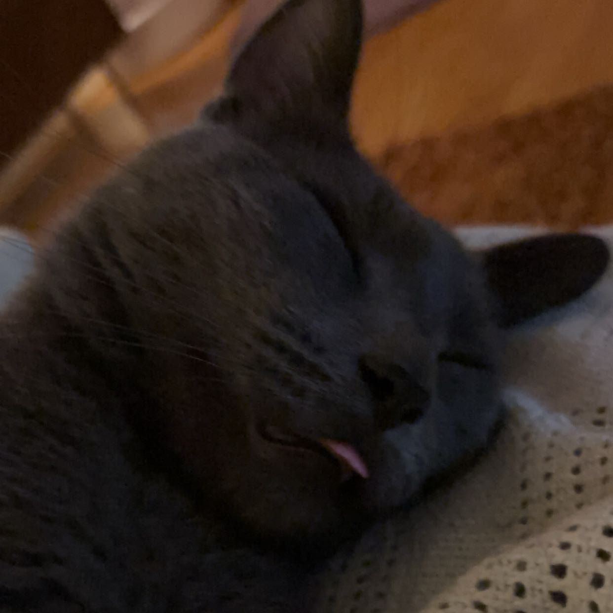 Bean