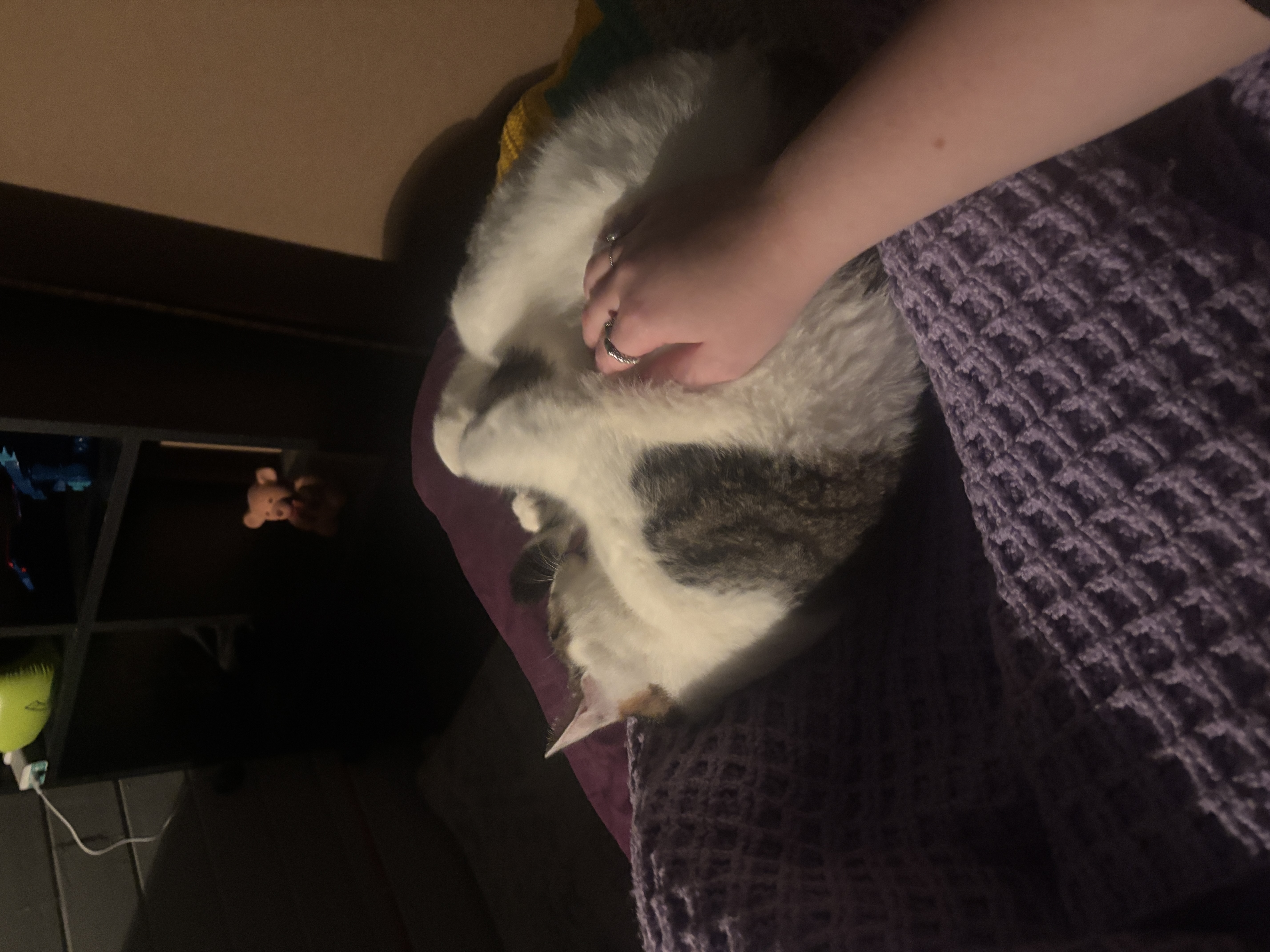image-7