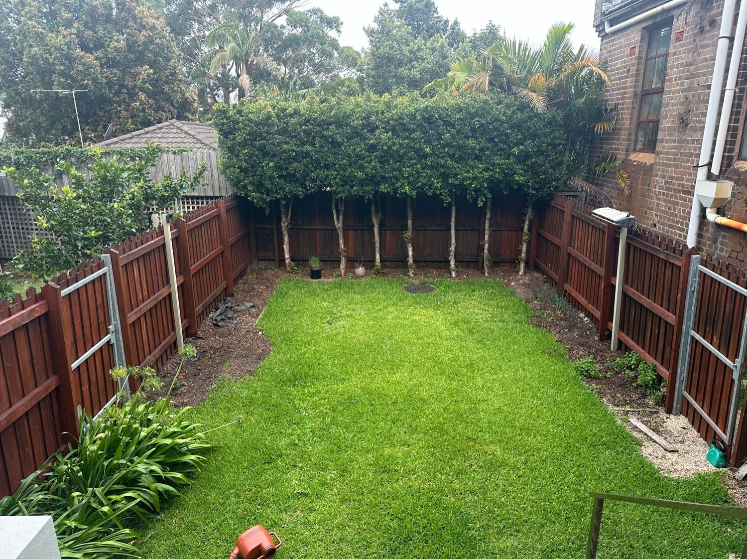 image-9