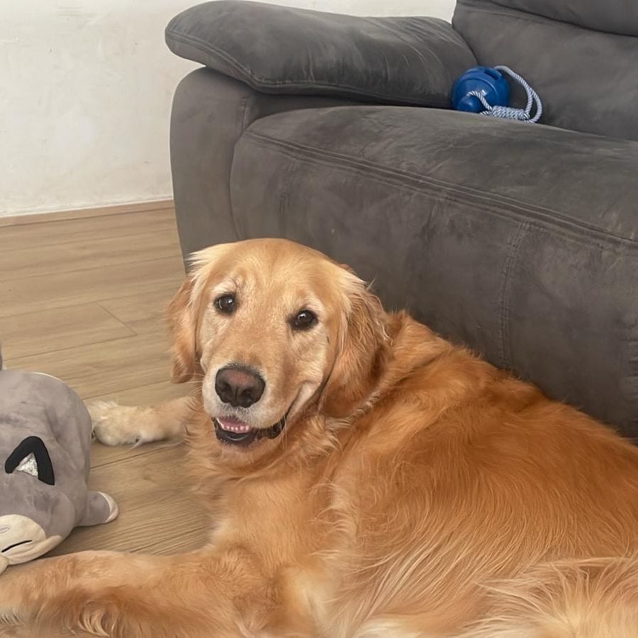 Milo