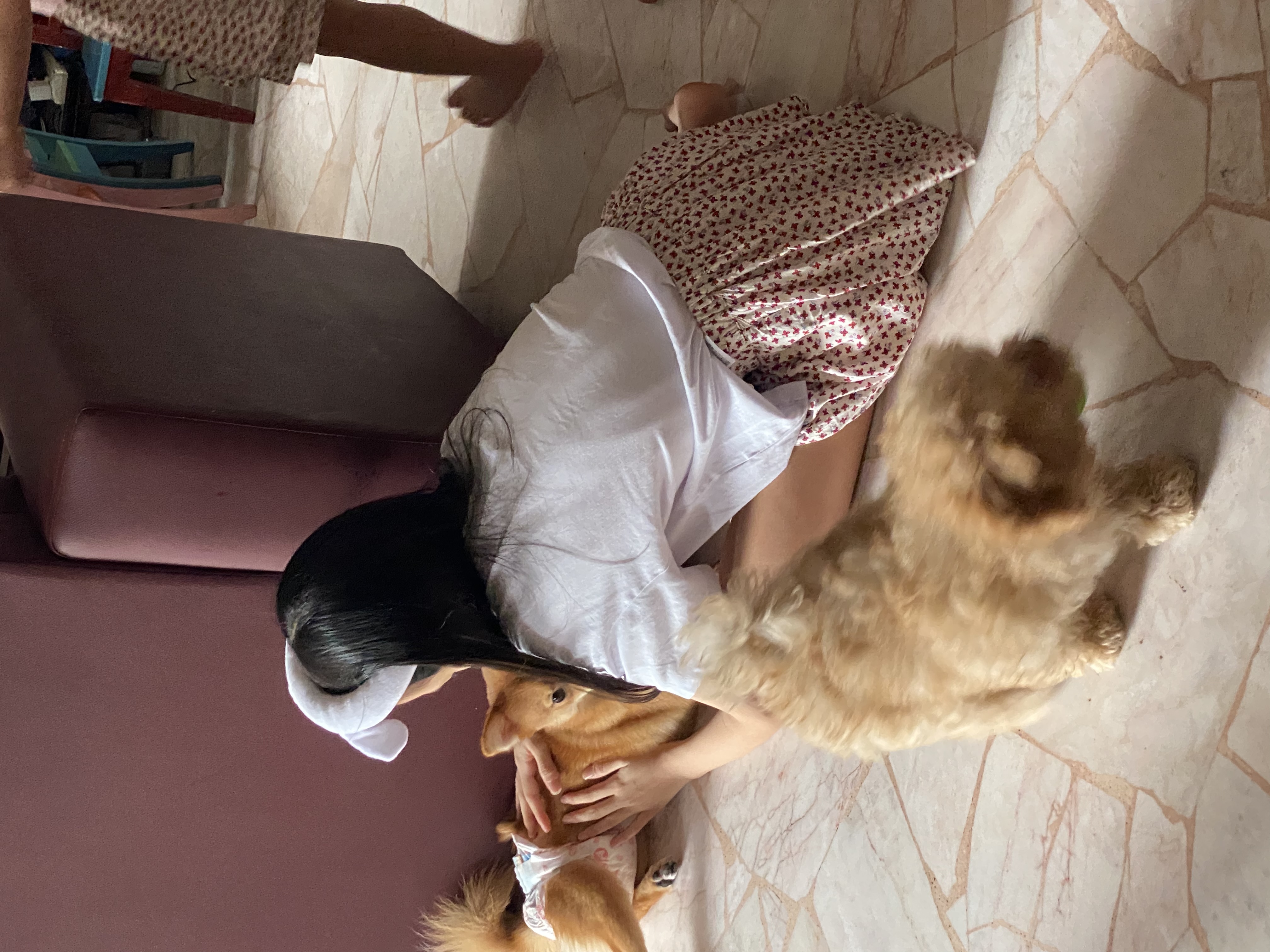 image-7