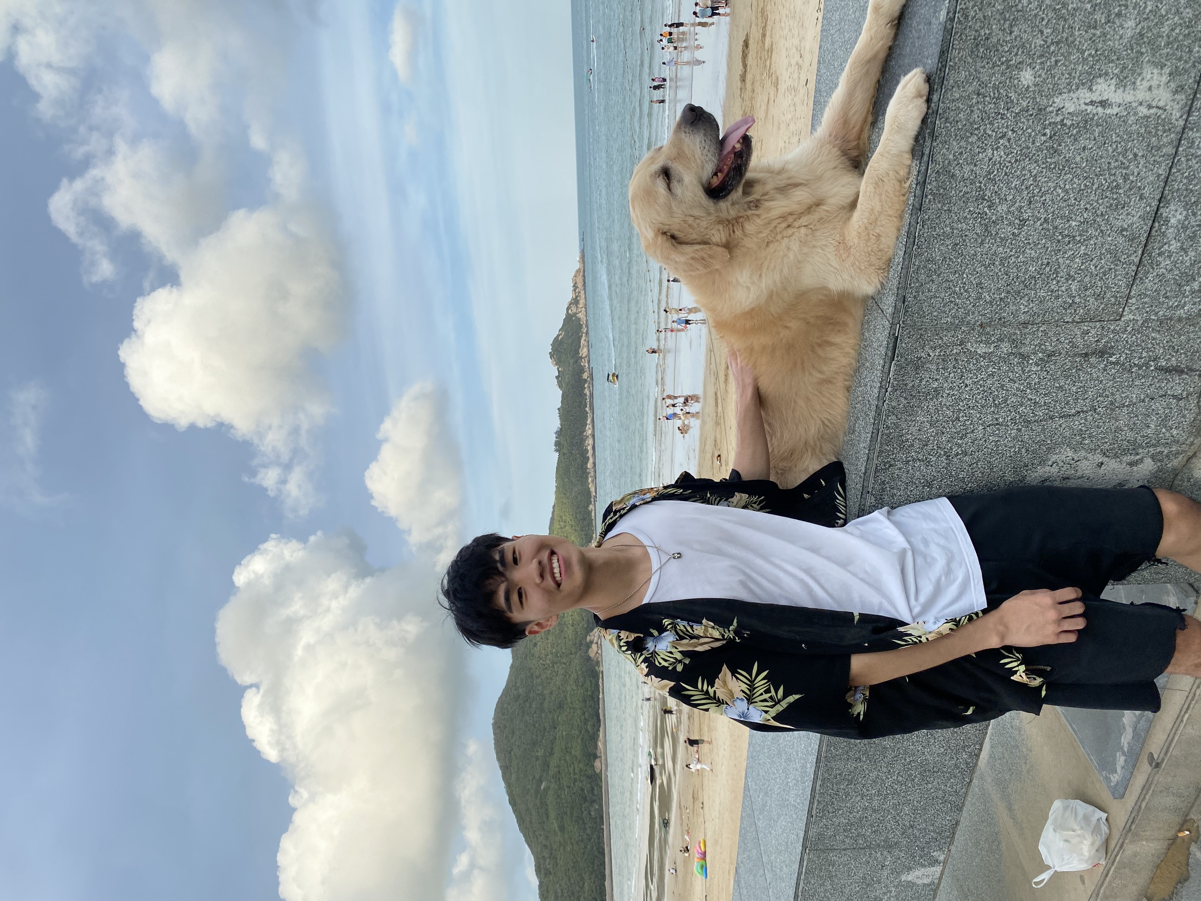 image-7