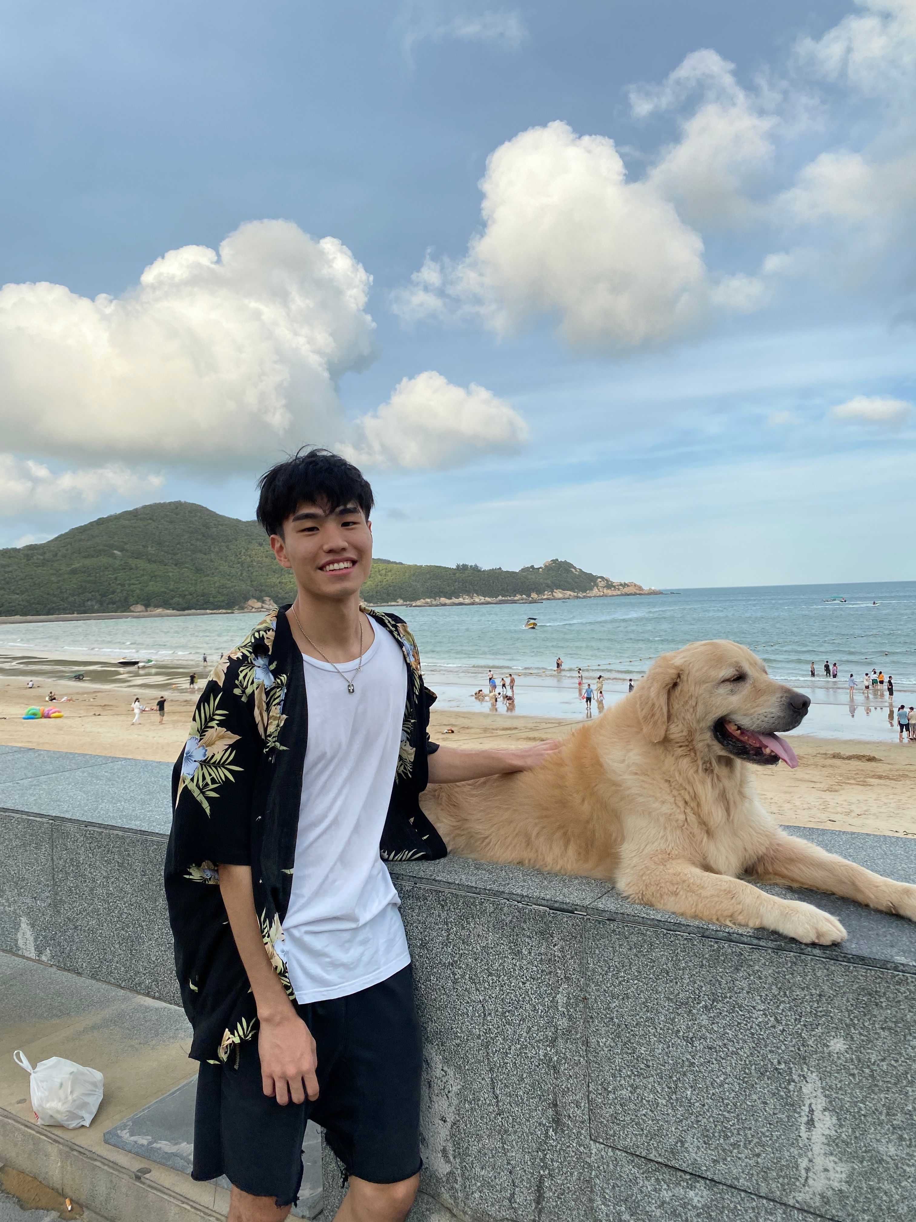 image-7