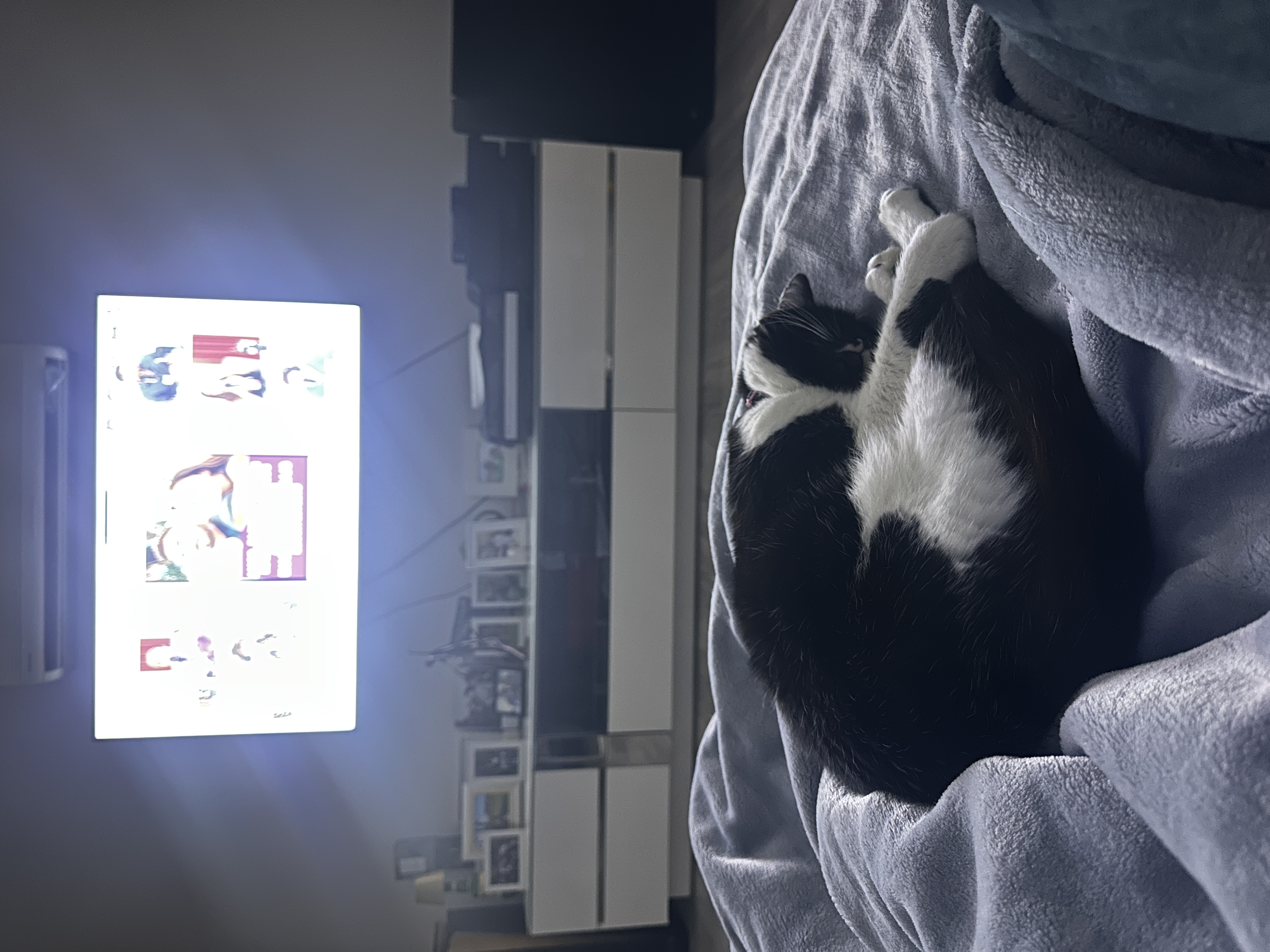 image-7