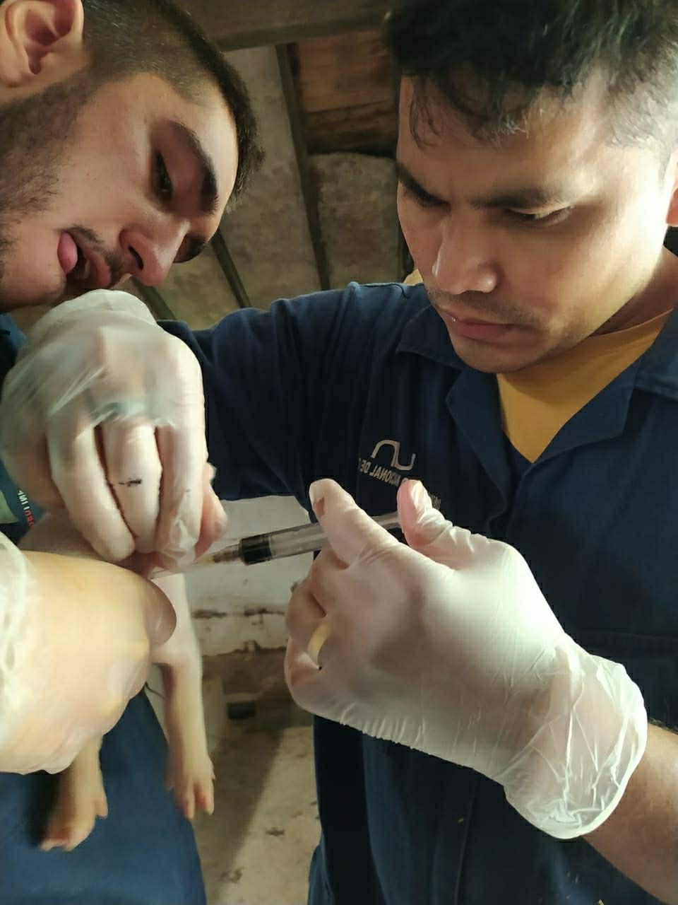 image-7