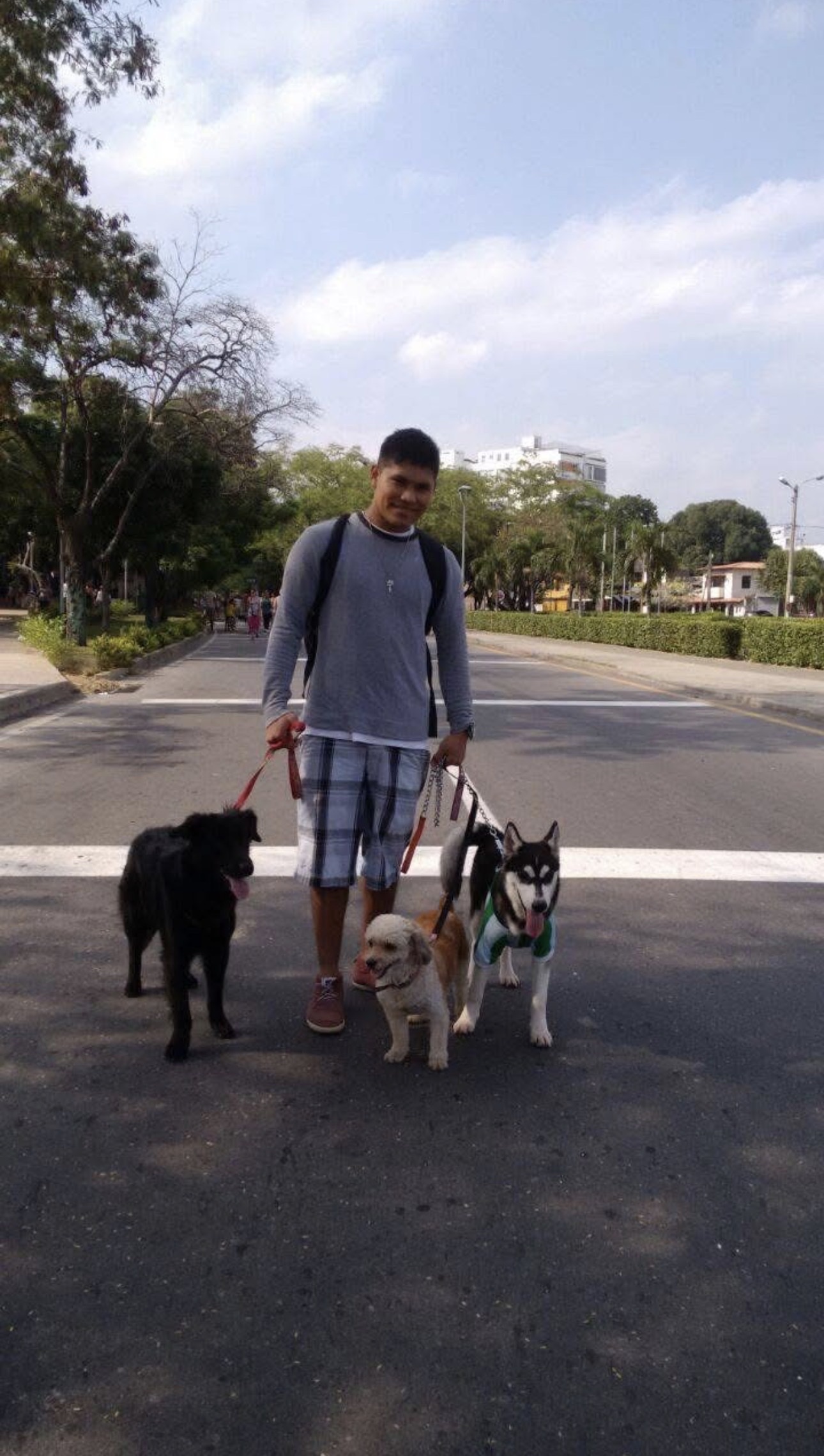 image-14