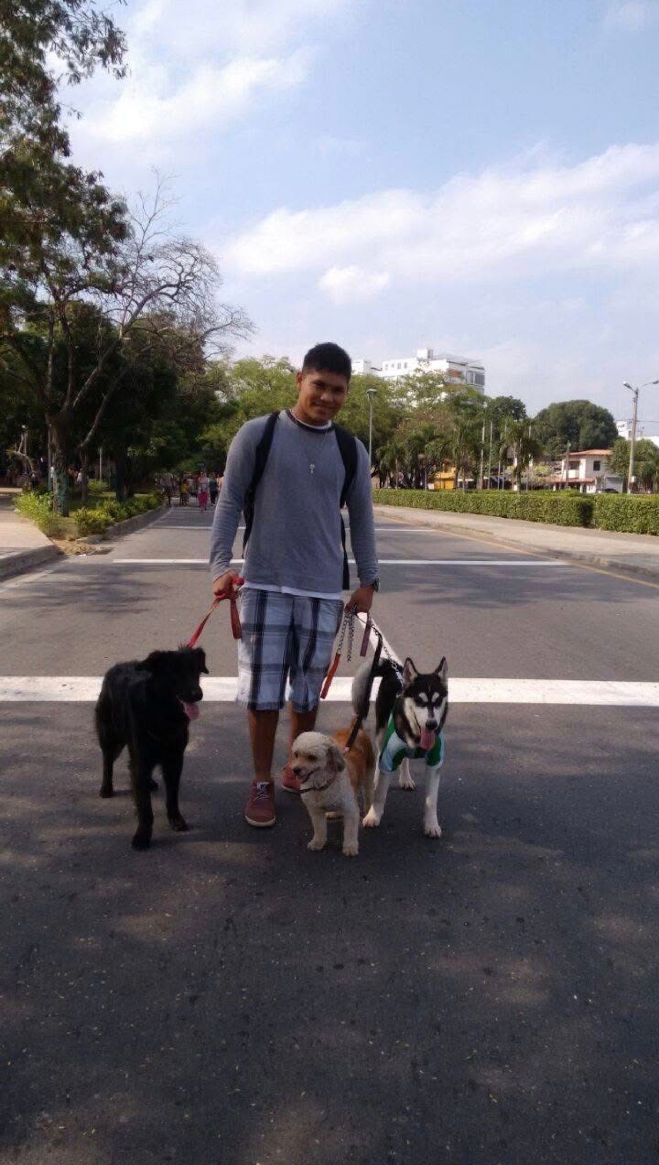 image-14