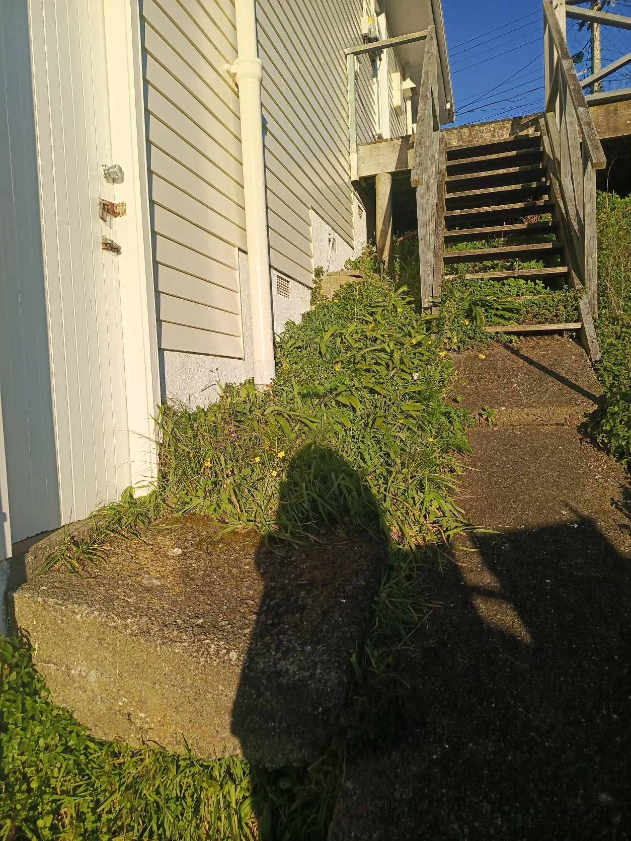 image-19