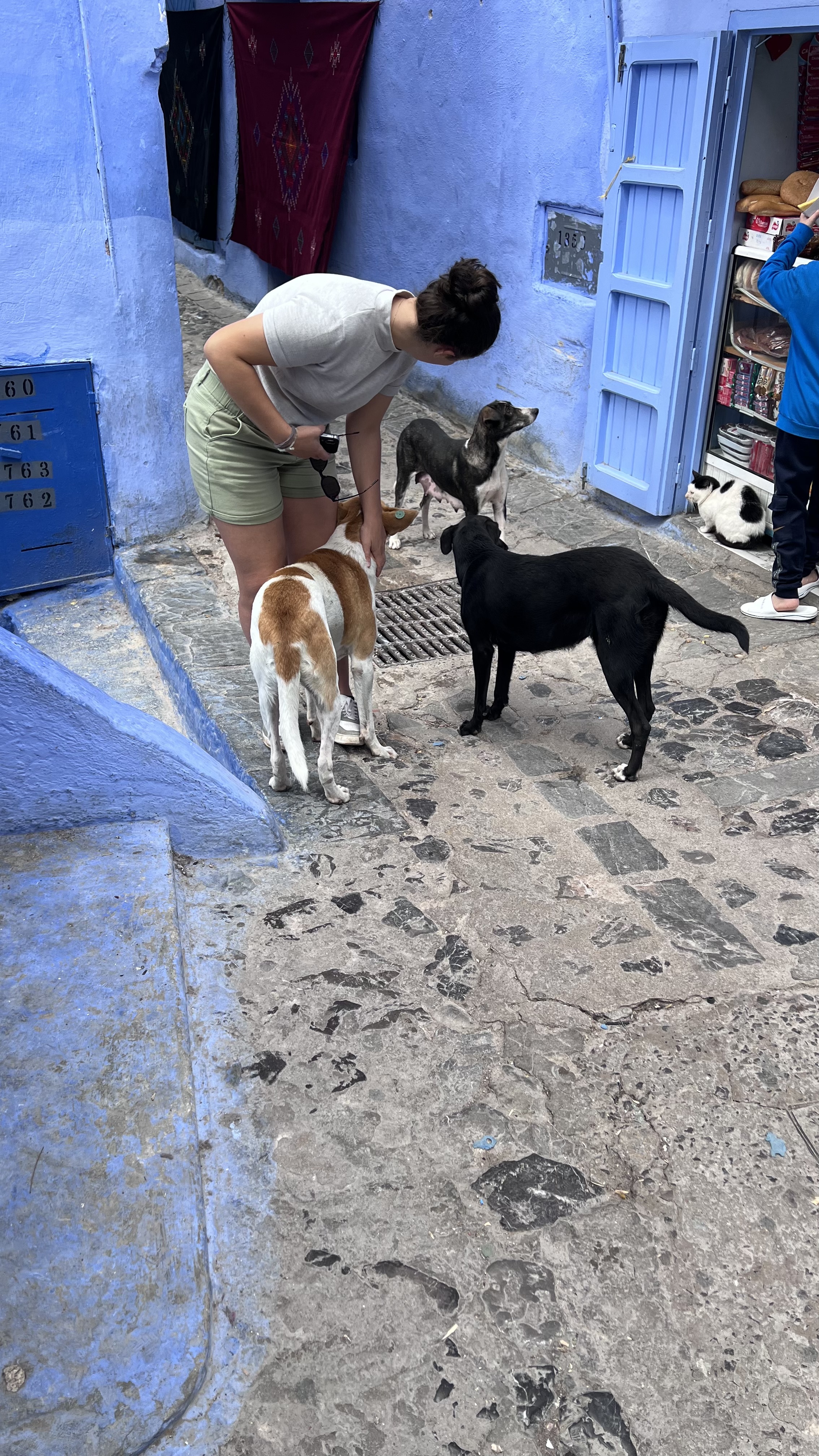 image-7