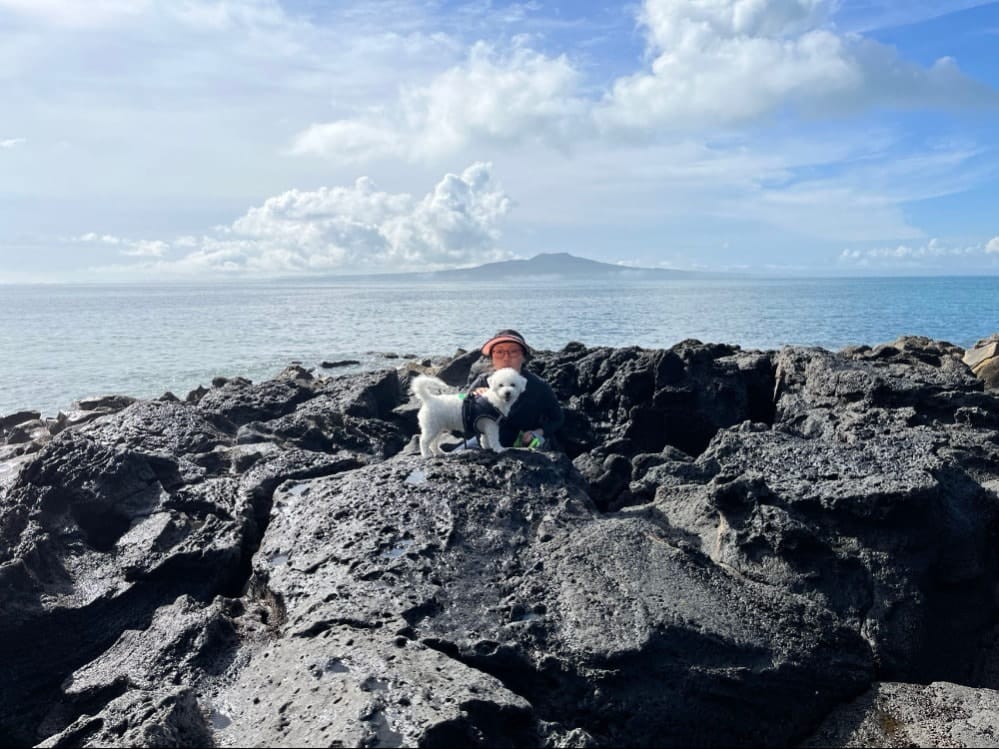 image-5