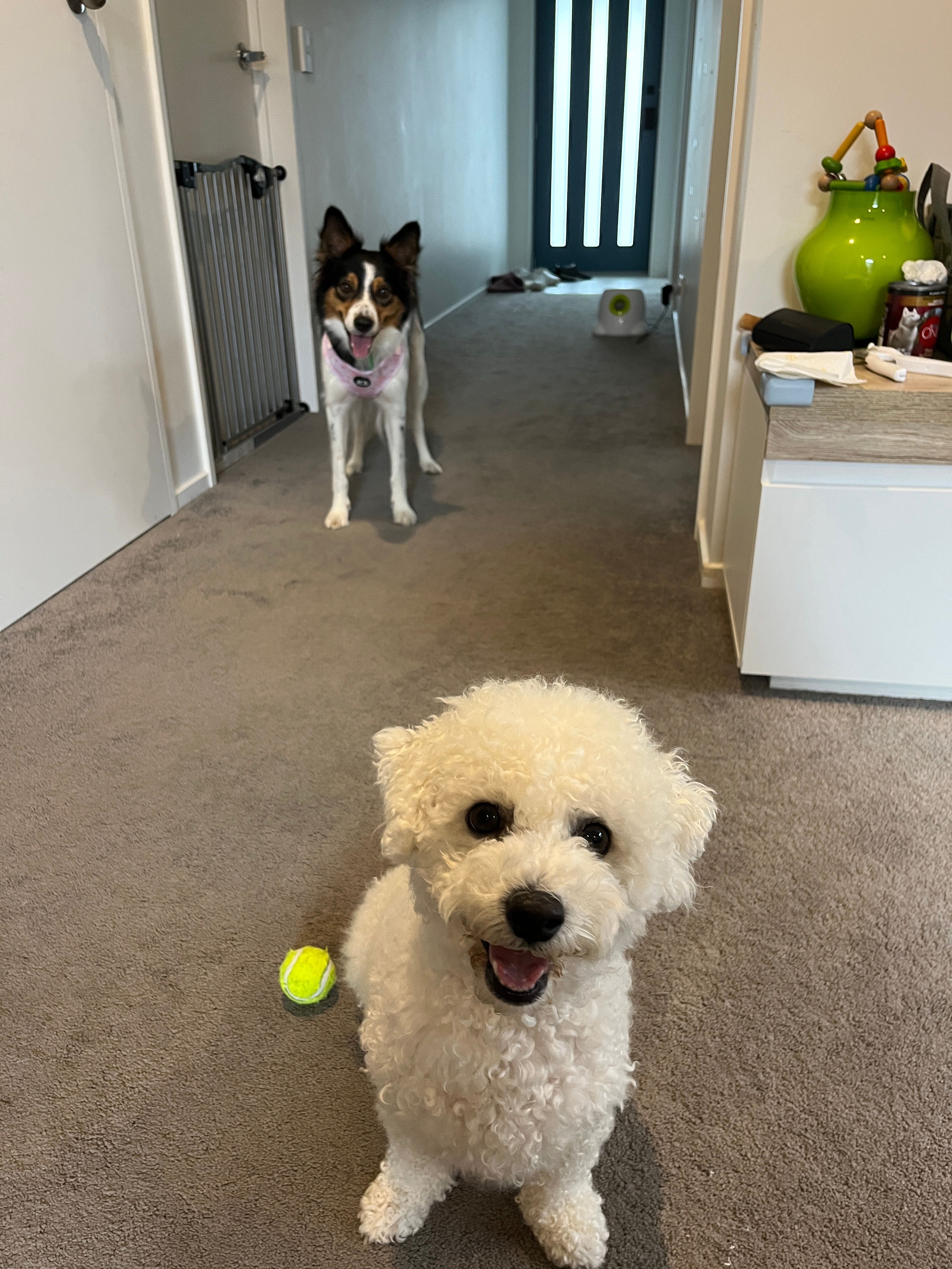 image-20