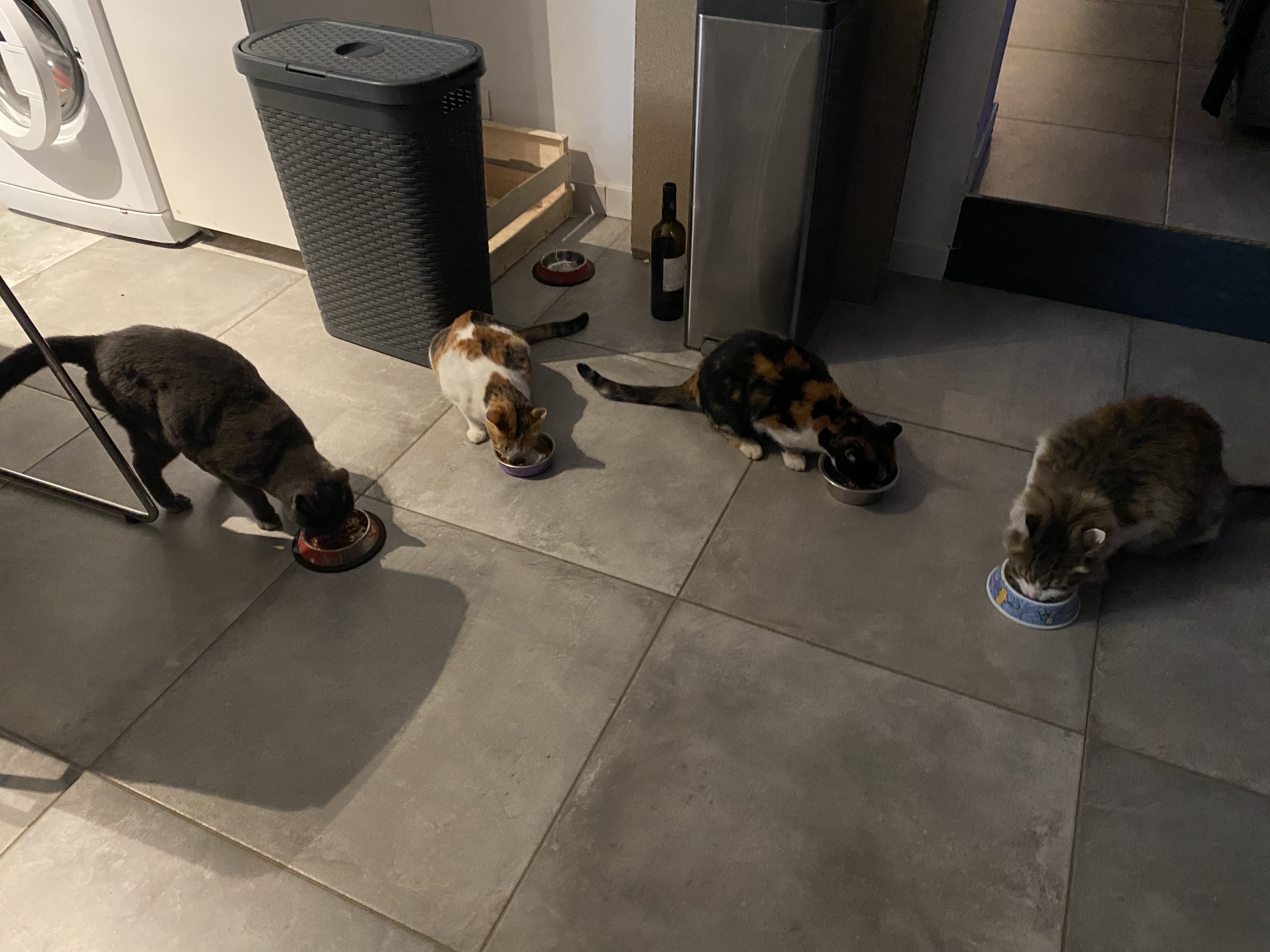 image-10