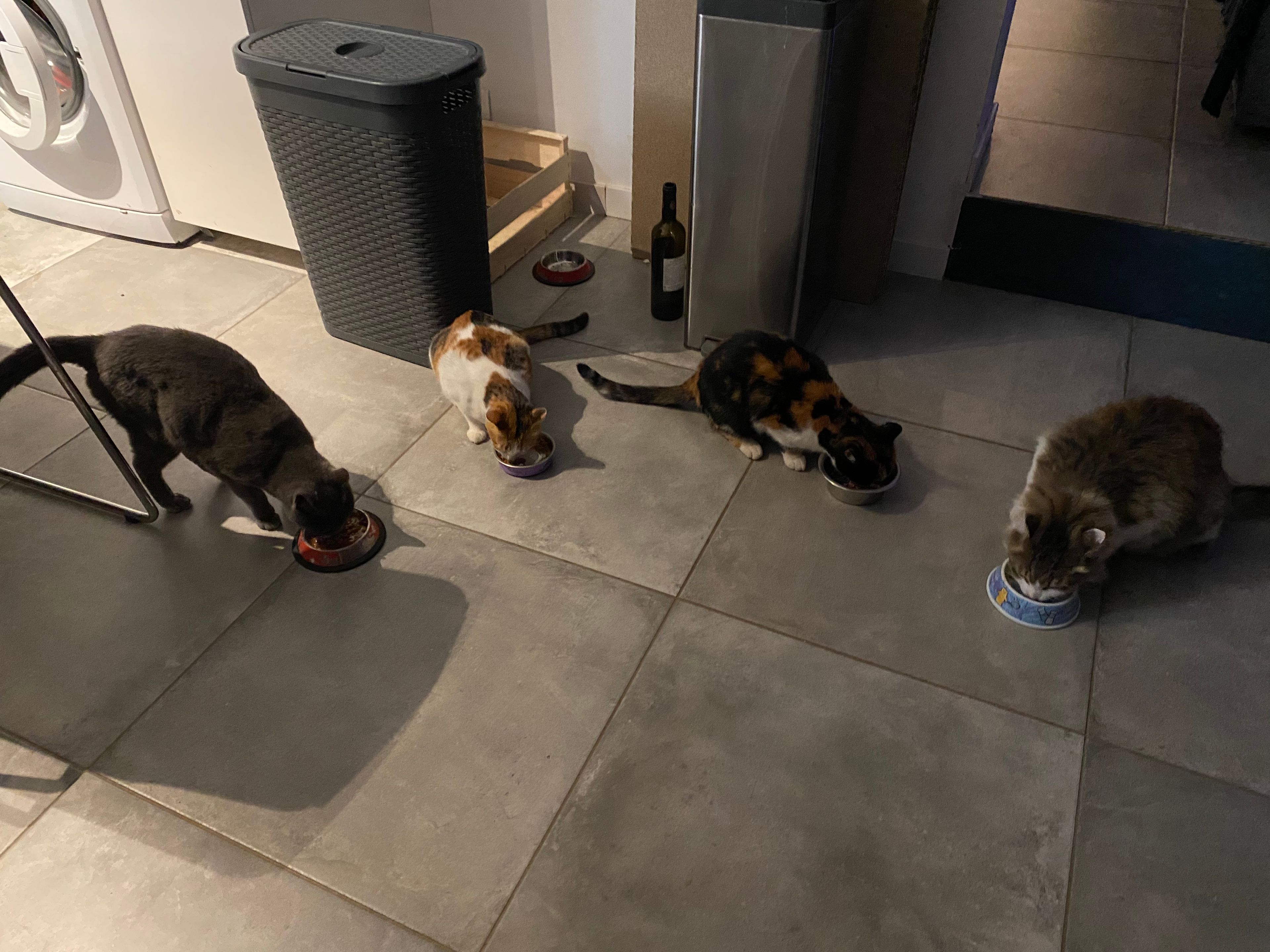 image-10